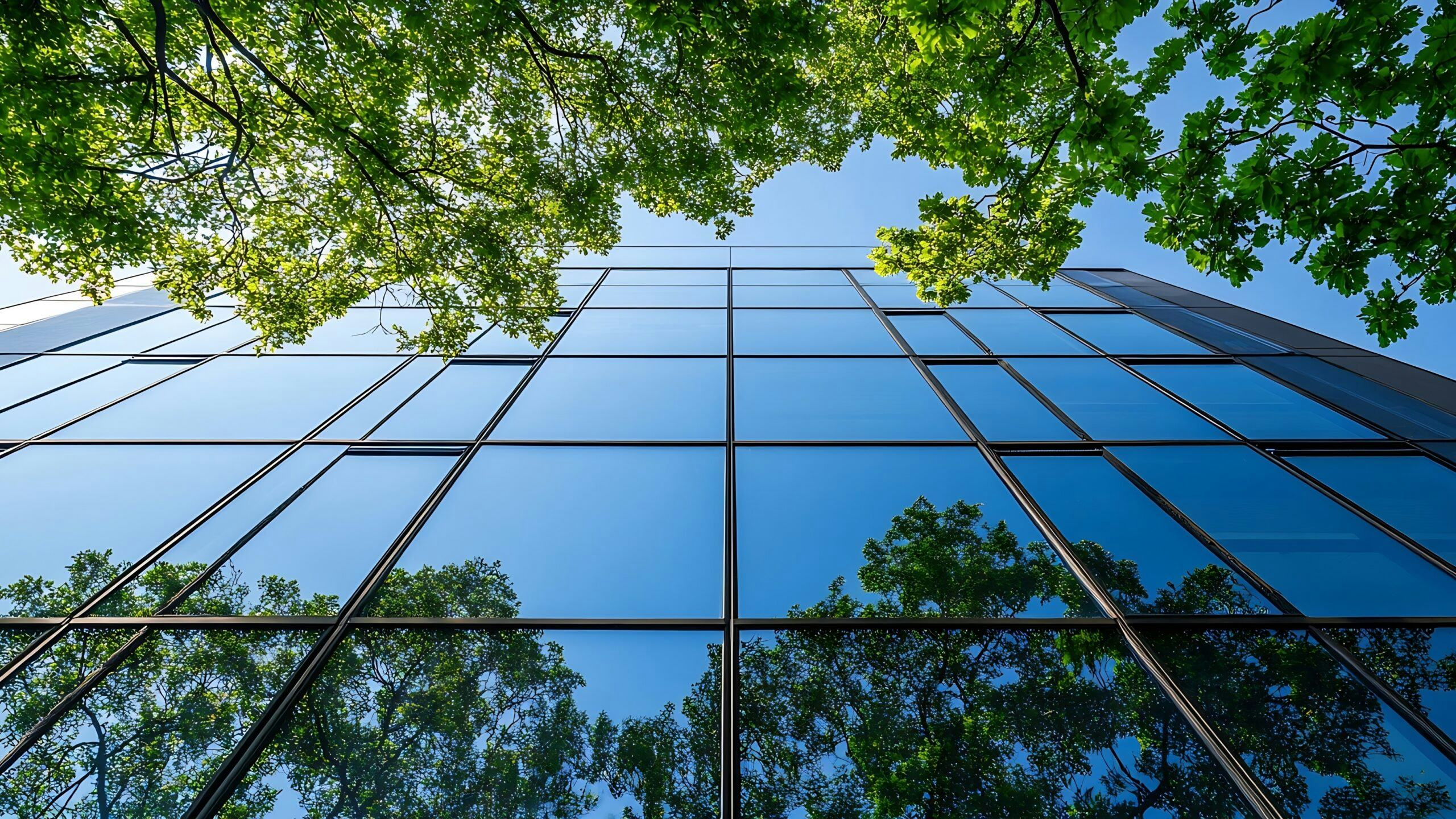 Beeld: Mark B Pixels/Shutterstock