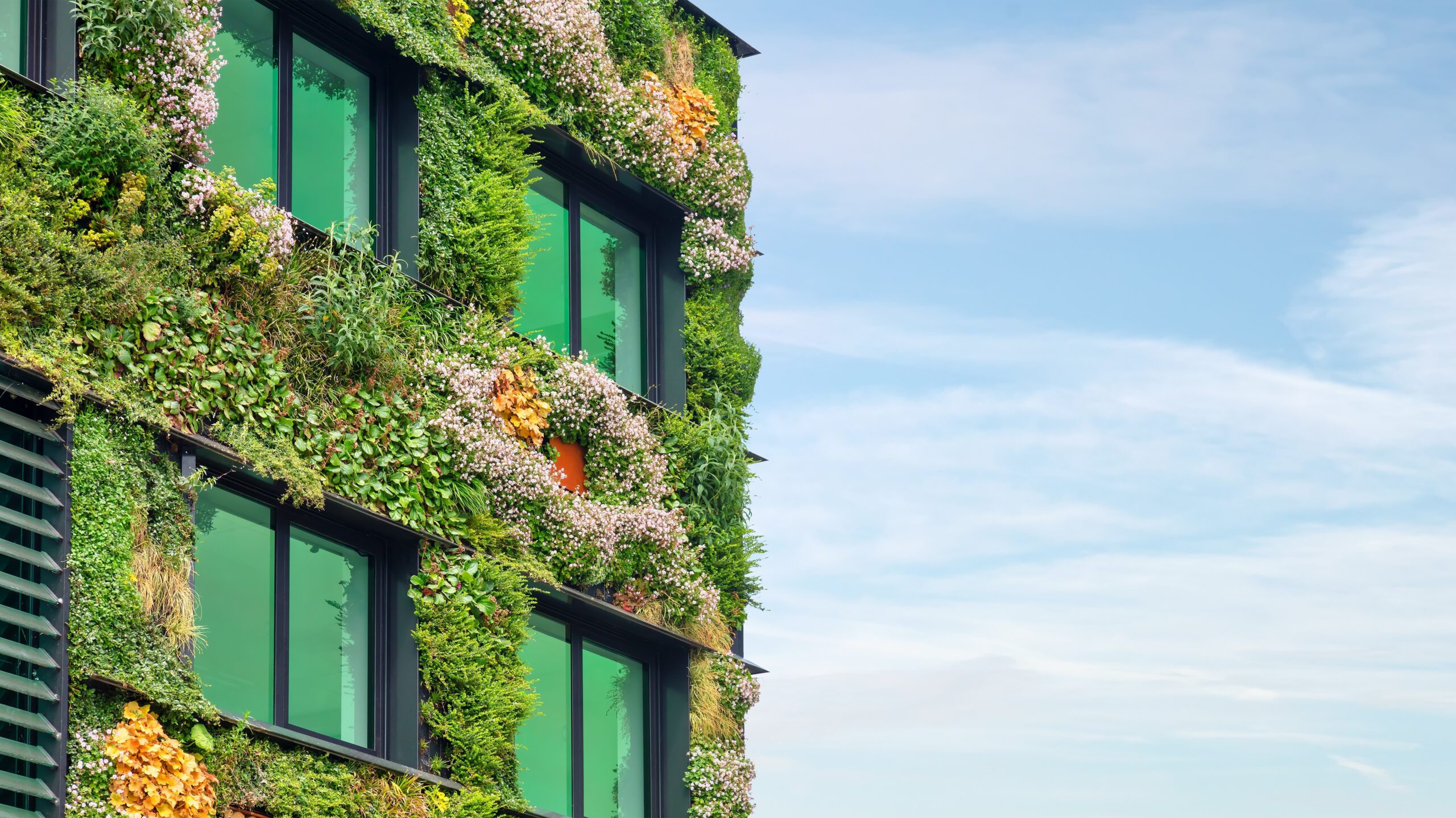 Beeld: Martin Bergsma/ Shutterstock