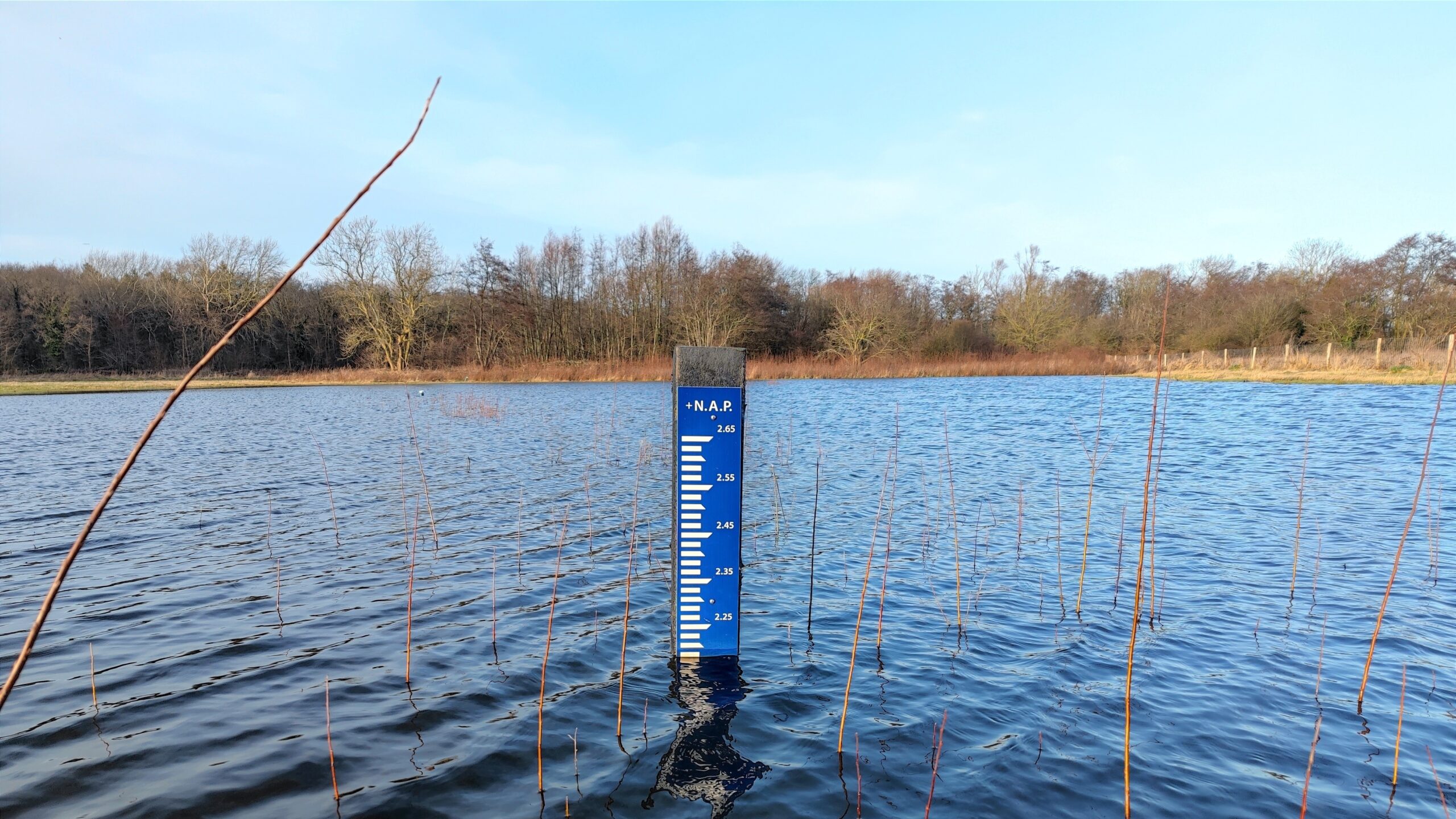 Foto: Shutterstock/JGLMarket