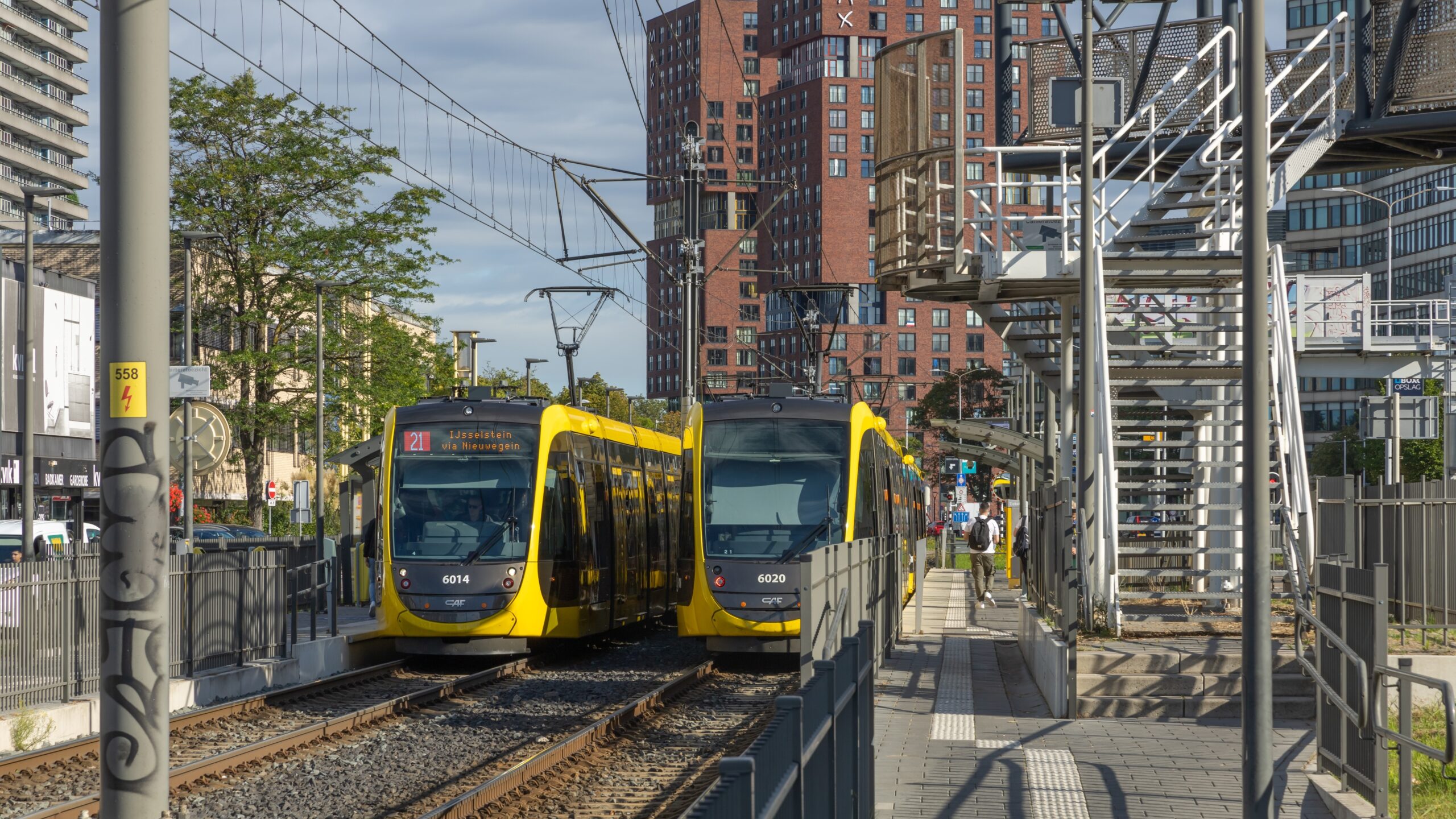 Foto: shutterstock.com/PixelBiss