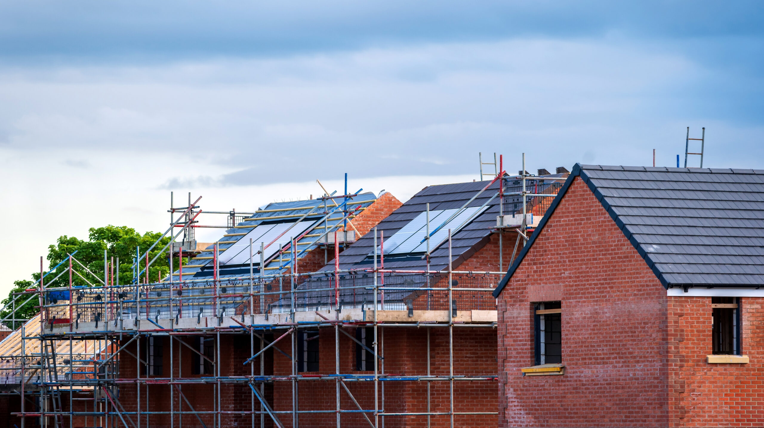 Foto: Jevanto Productions / Shutterstock.