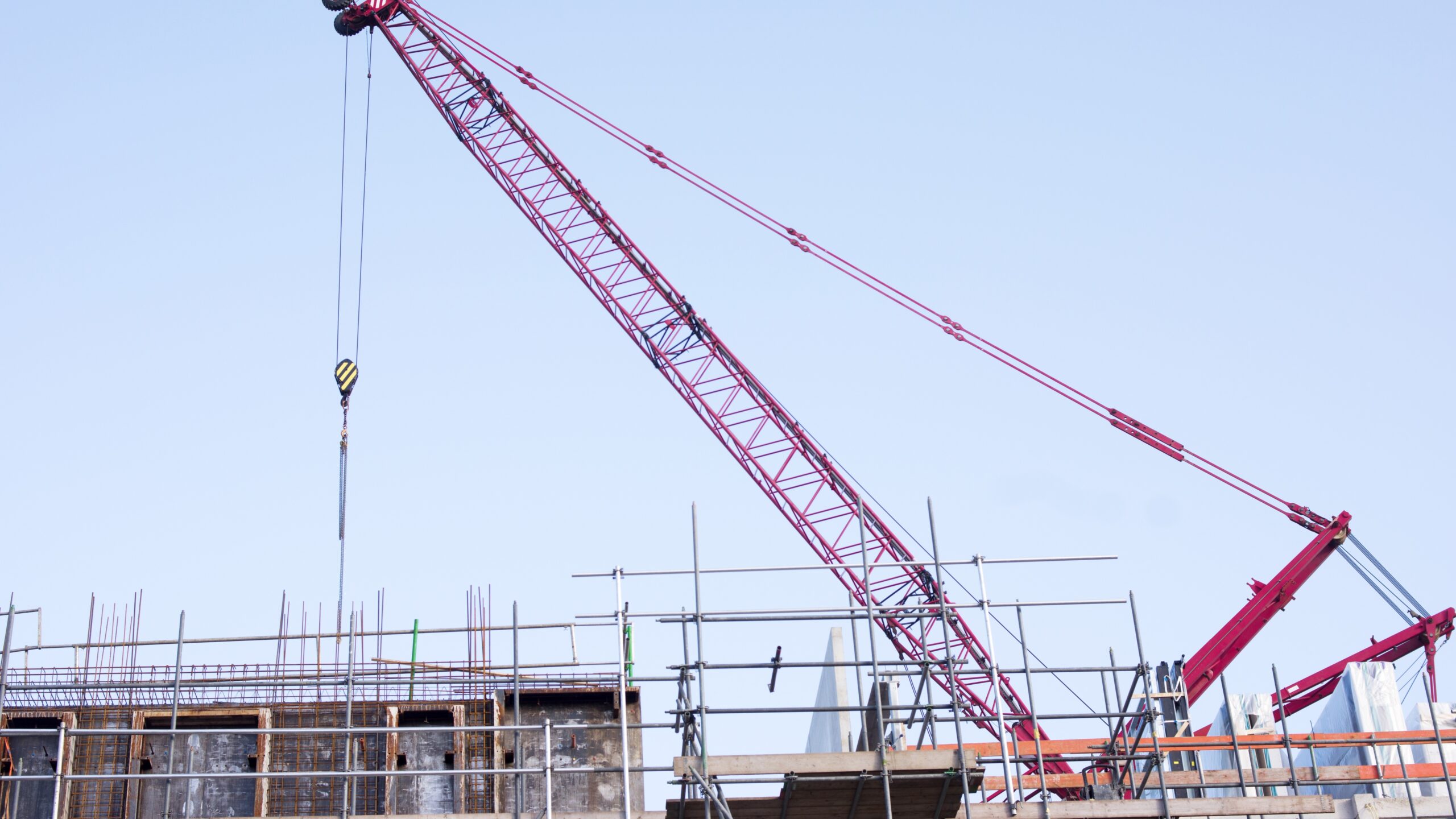 Beeld: Marcel Rommens/Shutterstock