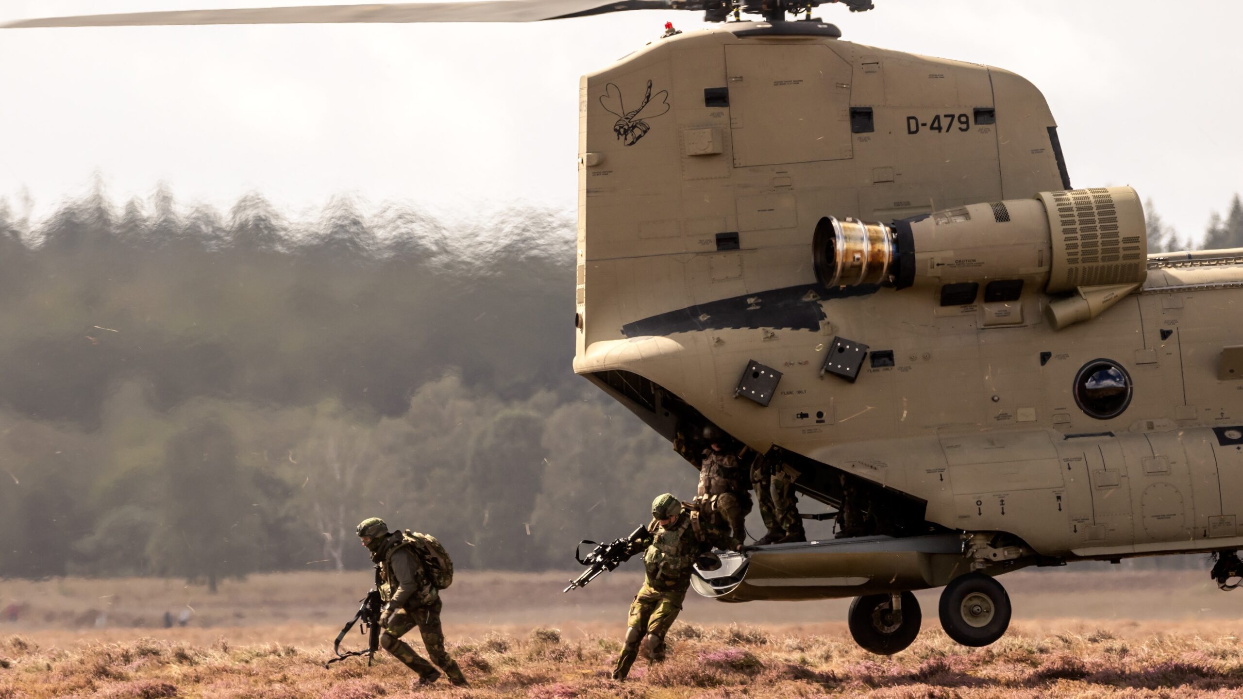 Beeld: Van der Wolf Images.