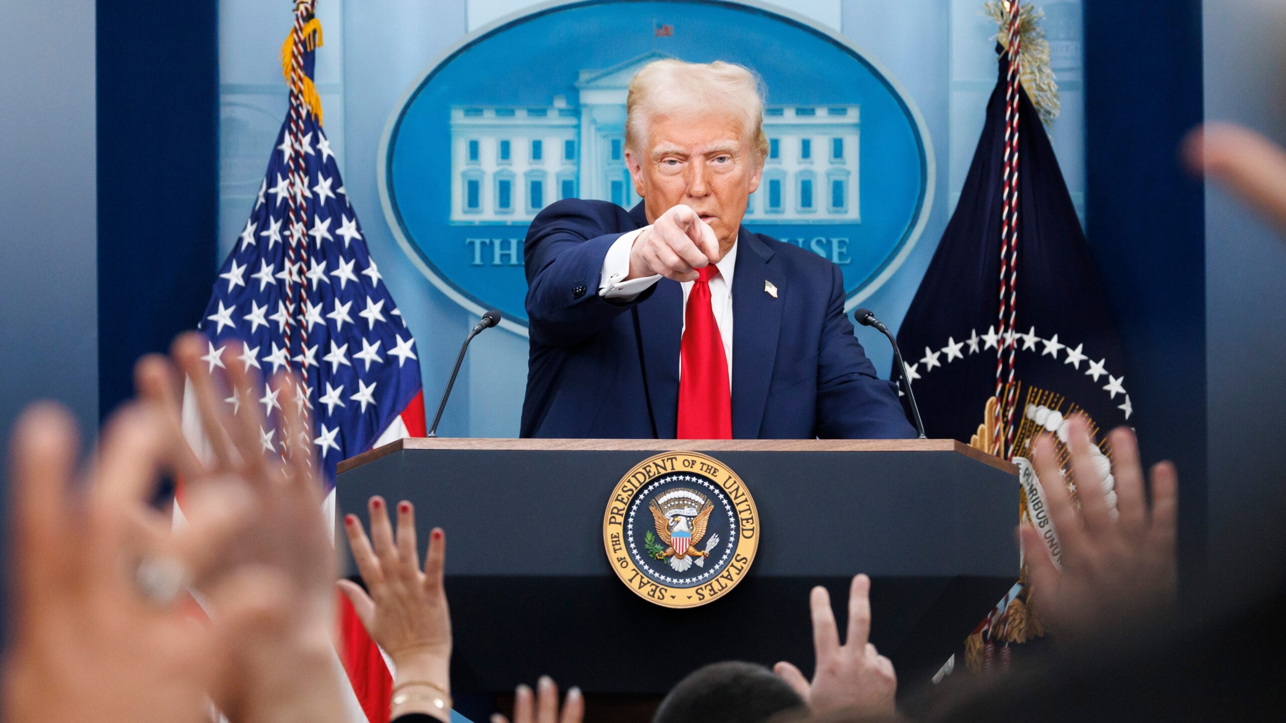 Foto: Joshua Sukoff/Shutterstock