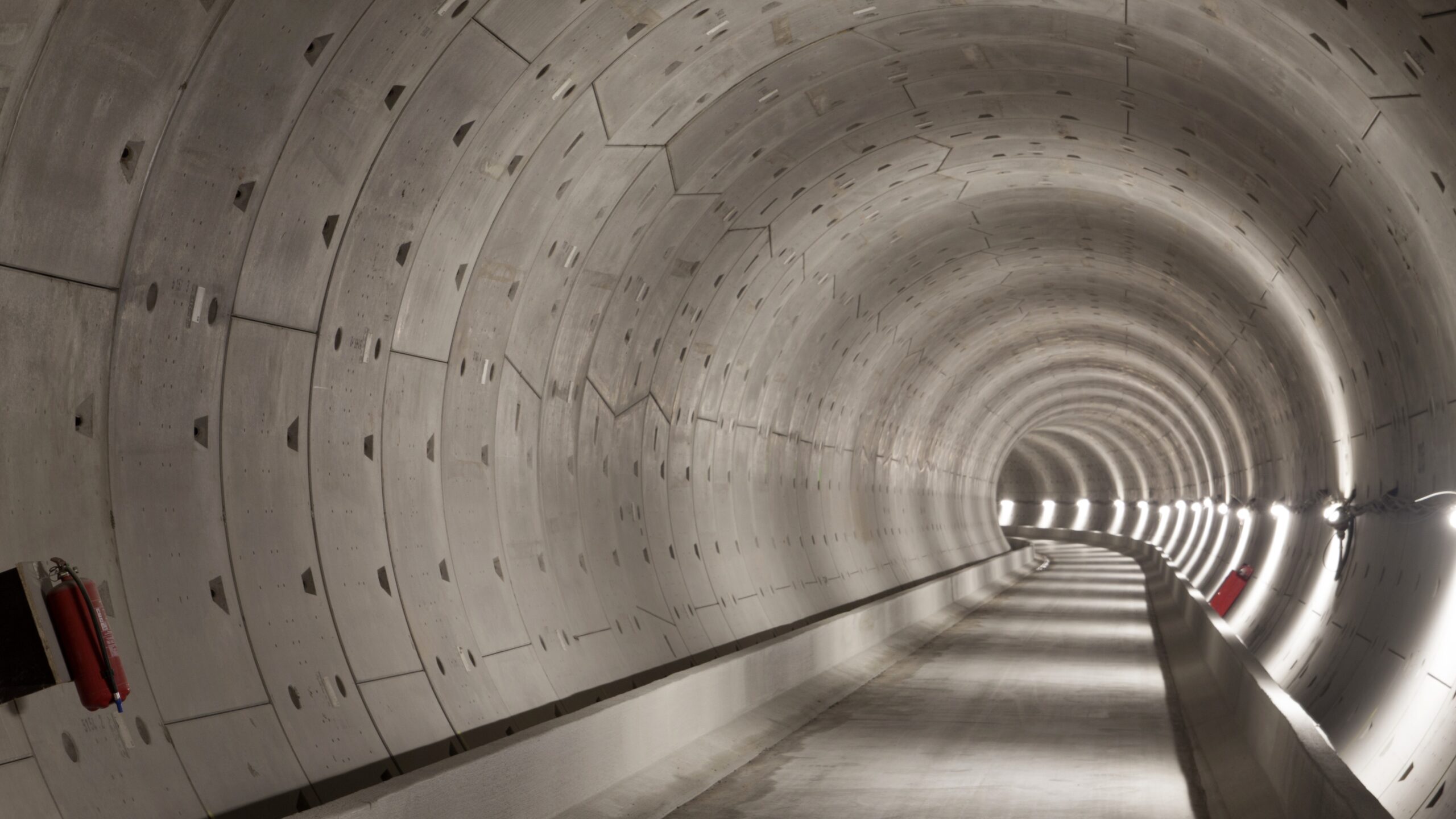 Beeld: Mauvries / Shutterstock