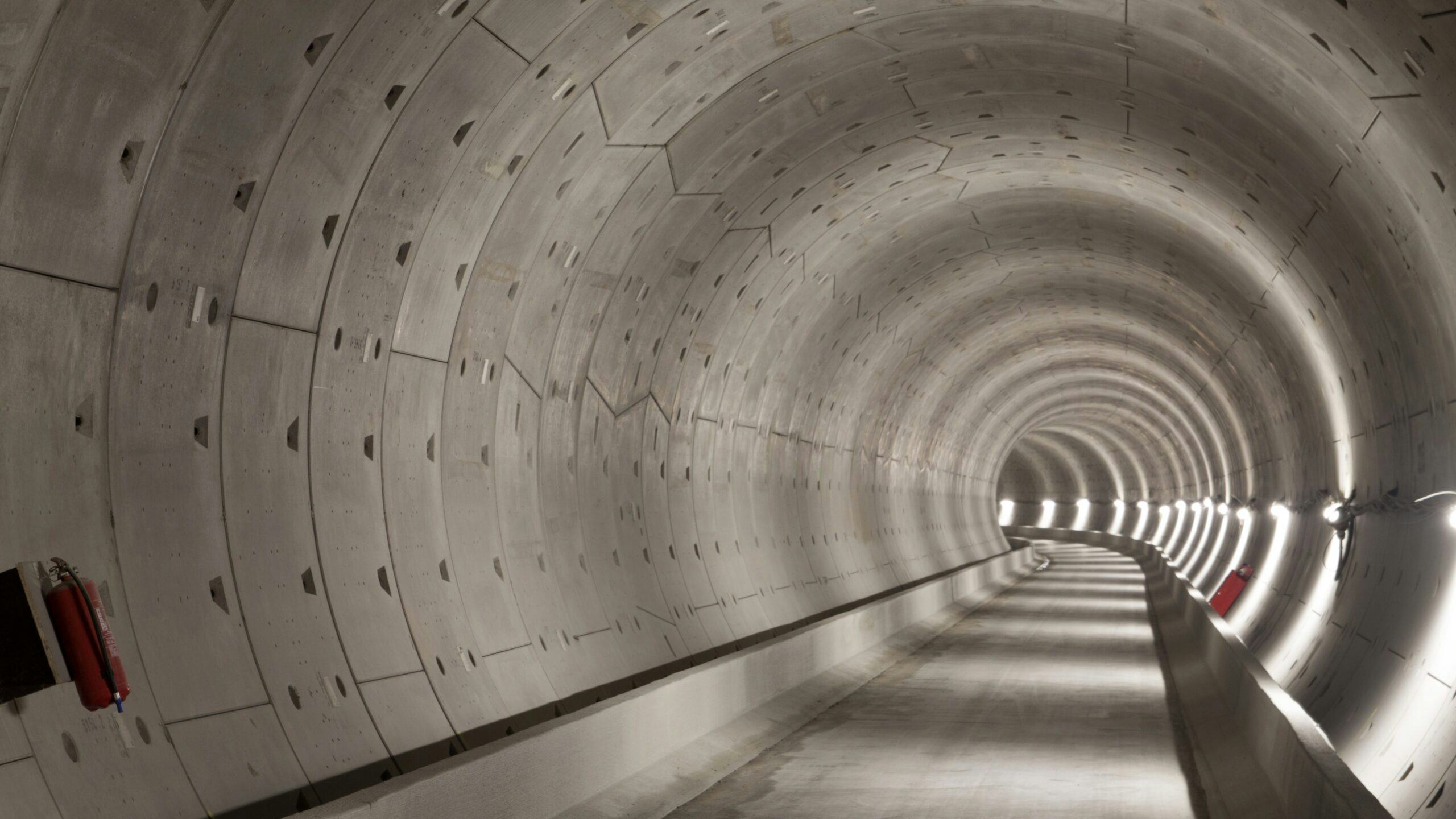 Beeld: Mauvries / Shutterstock