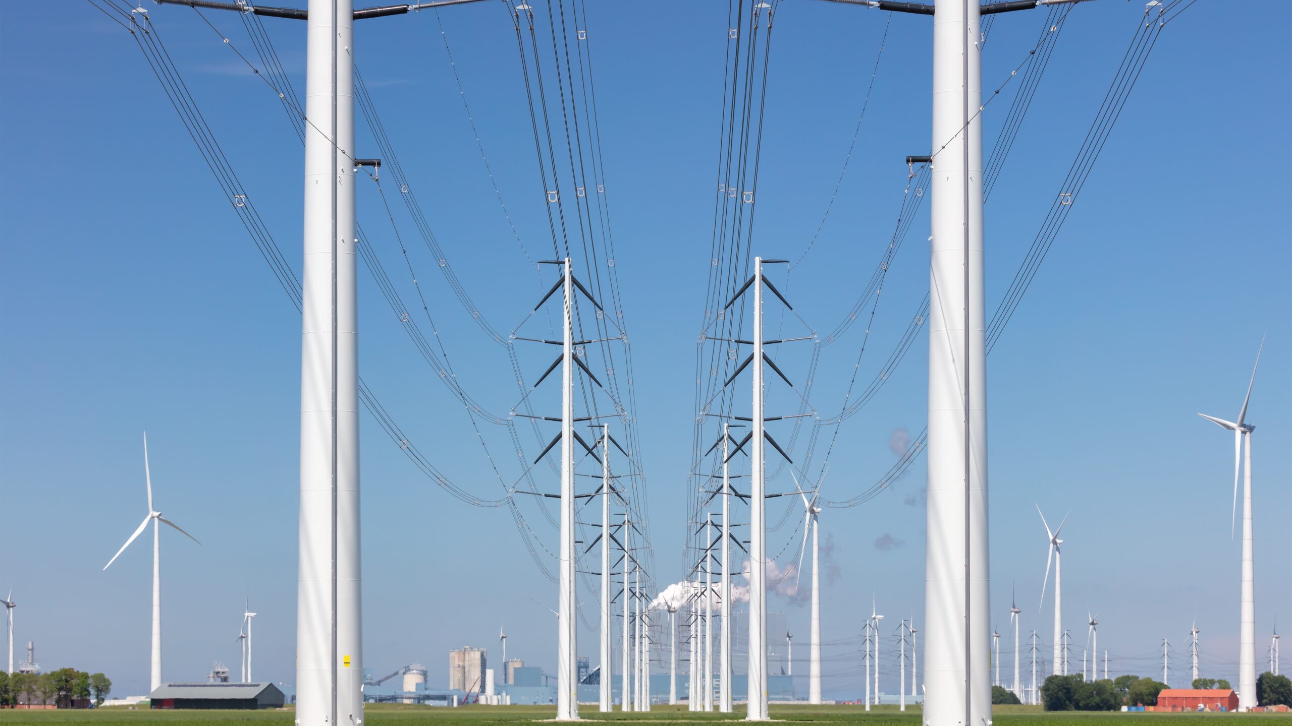 Foto: Shutterstock / Martin Bergsma