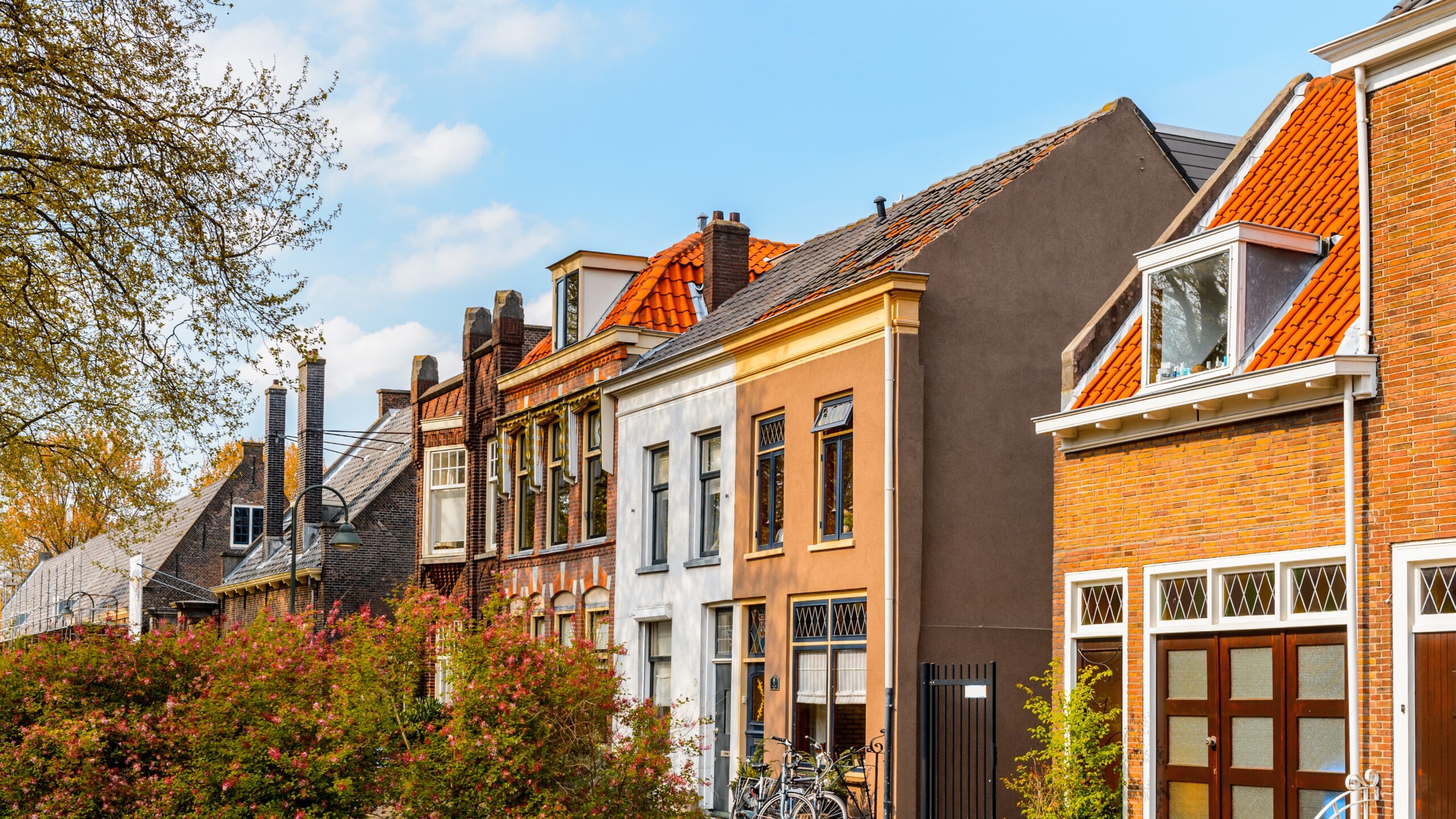 Foto: Anton Ivanov / Shutterstock