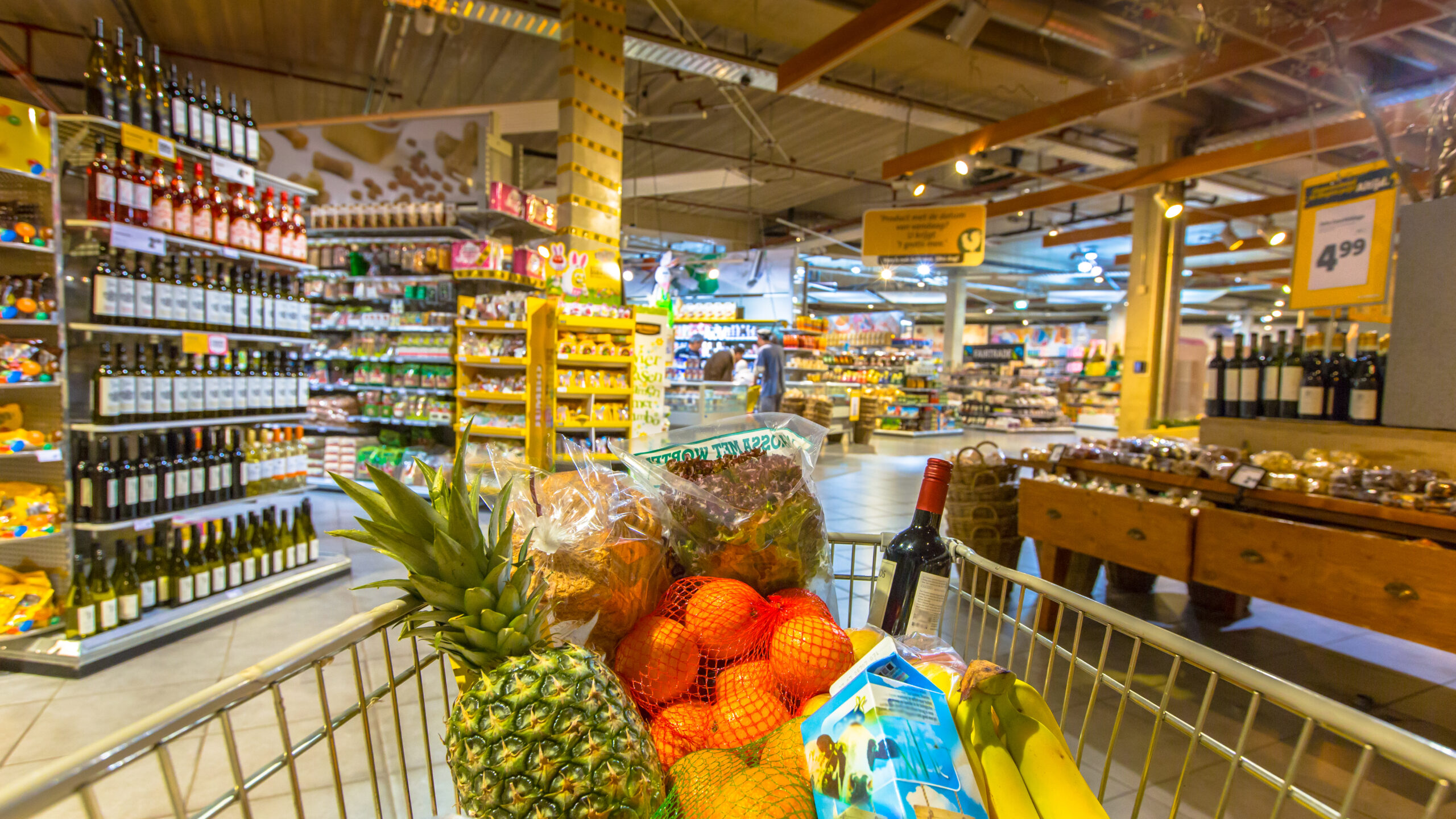 Beeld: Rudmer Zwerver/Shutterstock