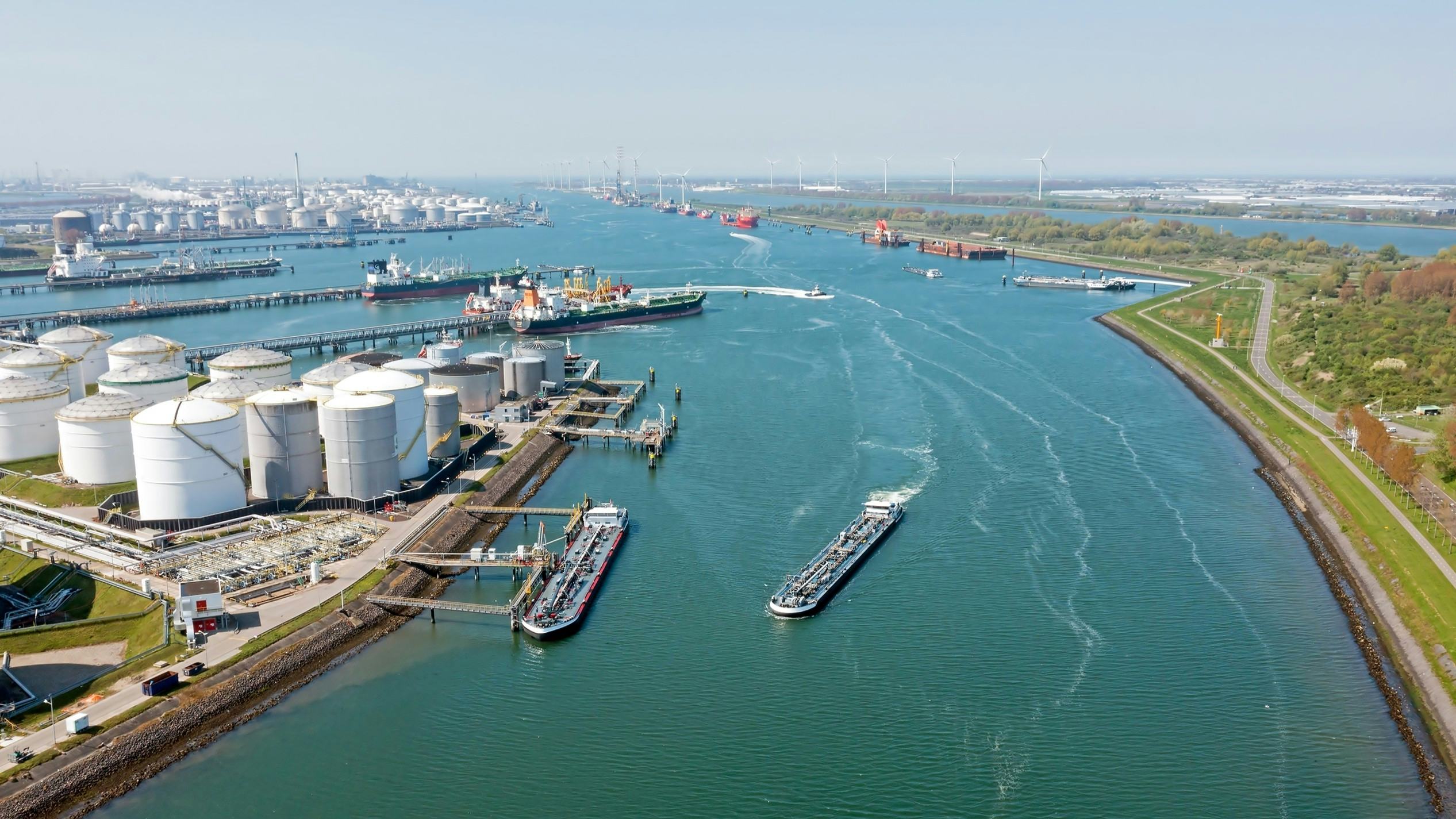 Foto: Steve Photography / Shutterstock.com