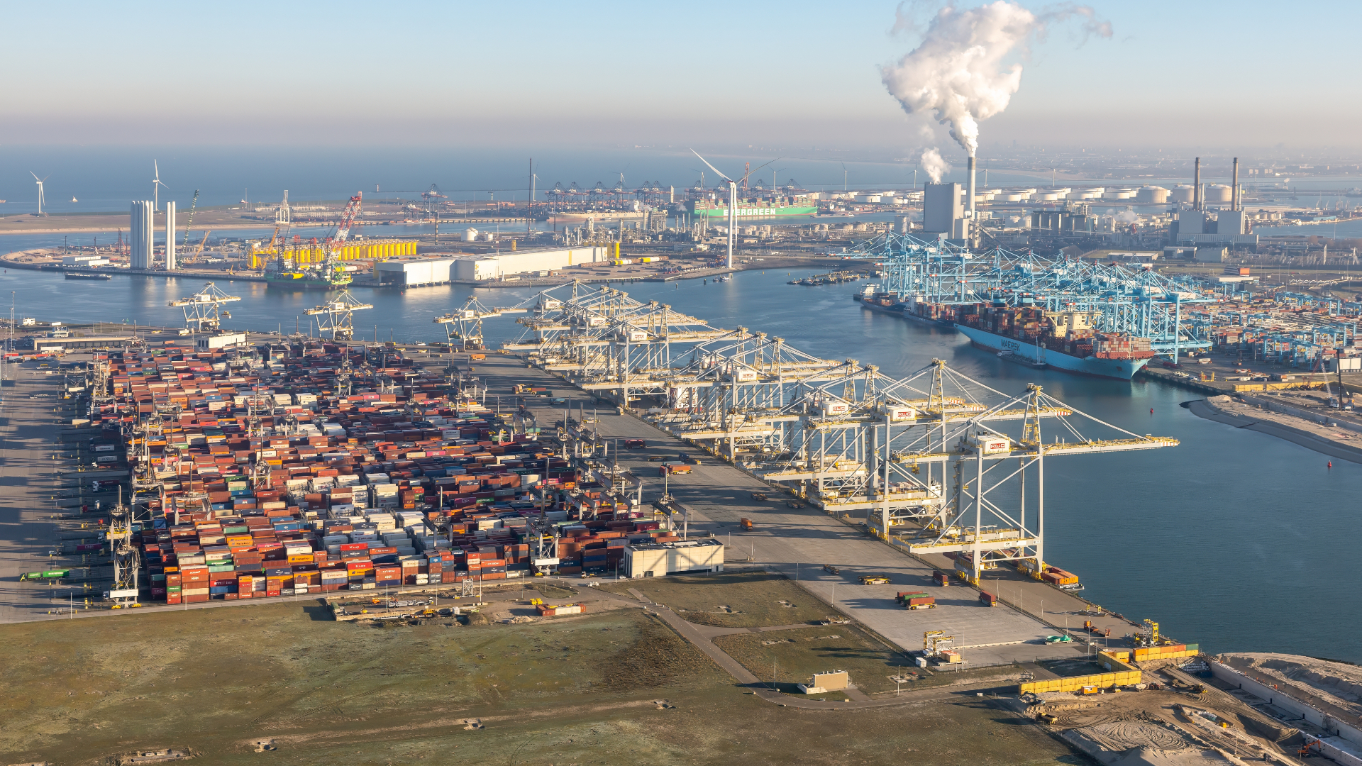 Beeld T.W. van Urk / Shutterstock.com