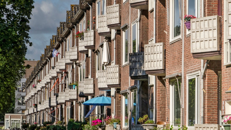 Beeld: Frans Blok / Shutterstock