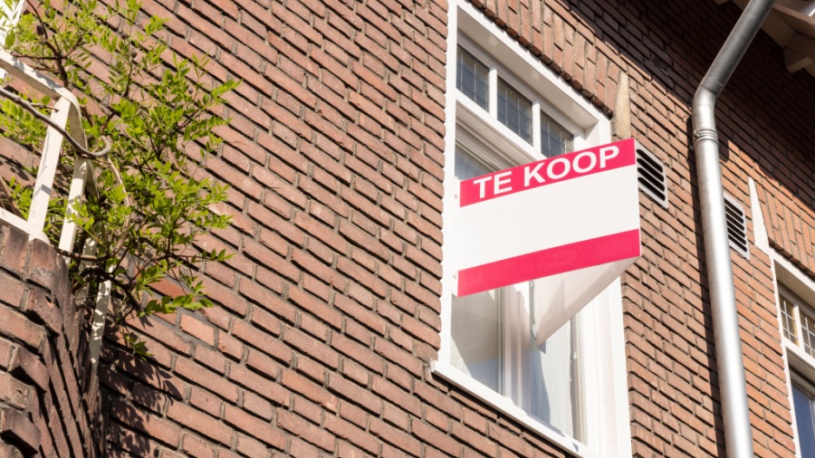 Foto; Lea Rae / Shutterstock