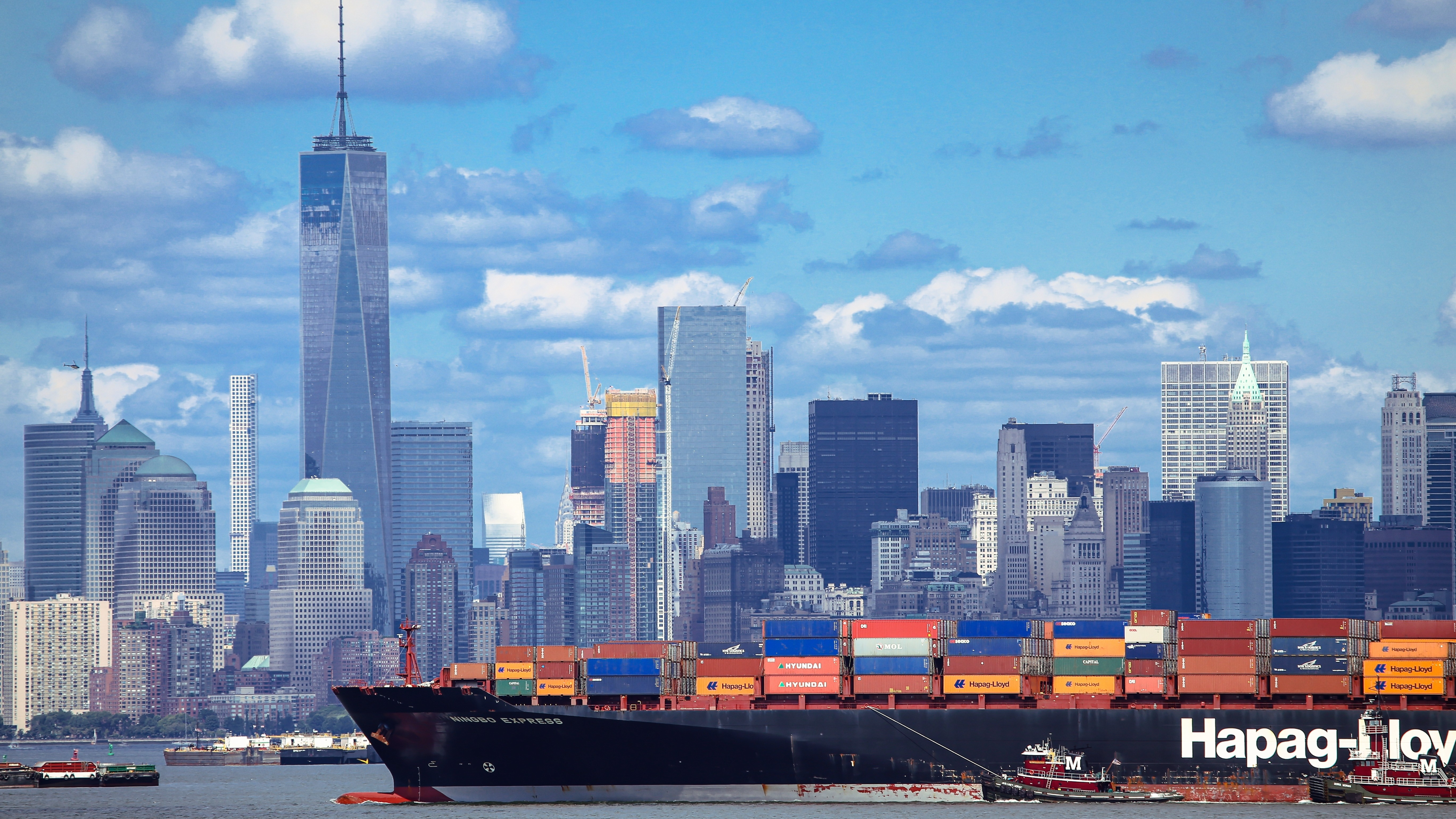 Beeld: MikeDotta / Shutterstock