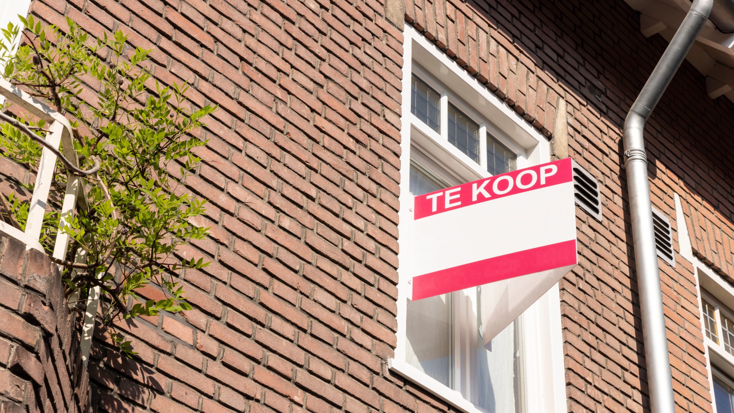 Foto: Lea Rae / Shutterstock.com