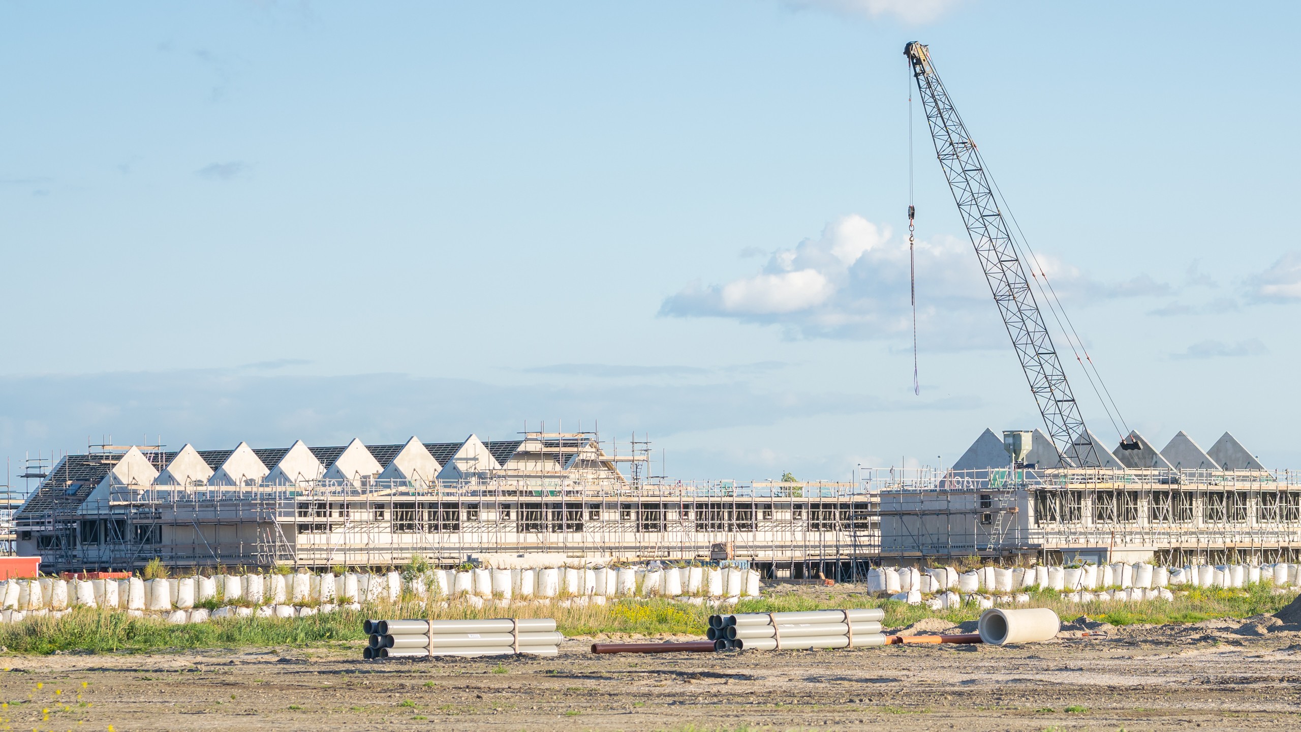 Foto: Menno van der Haven / Shutterstock.com