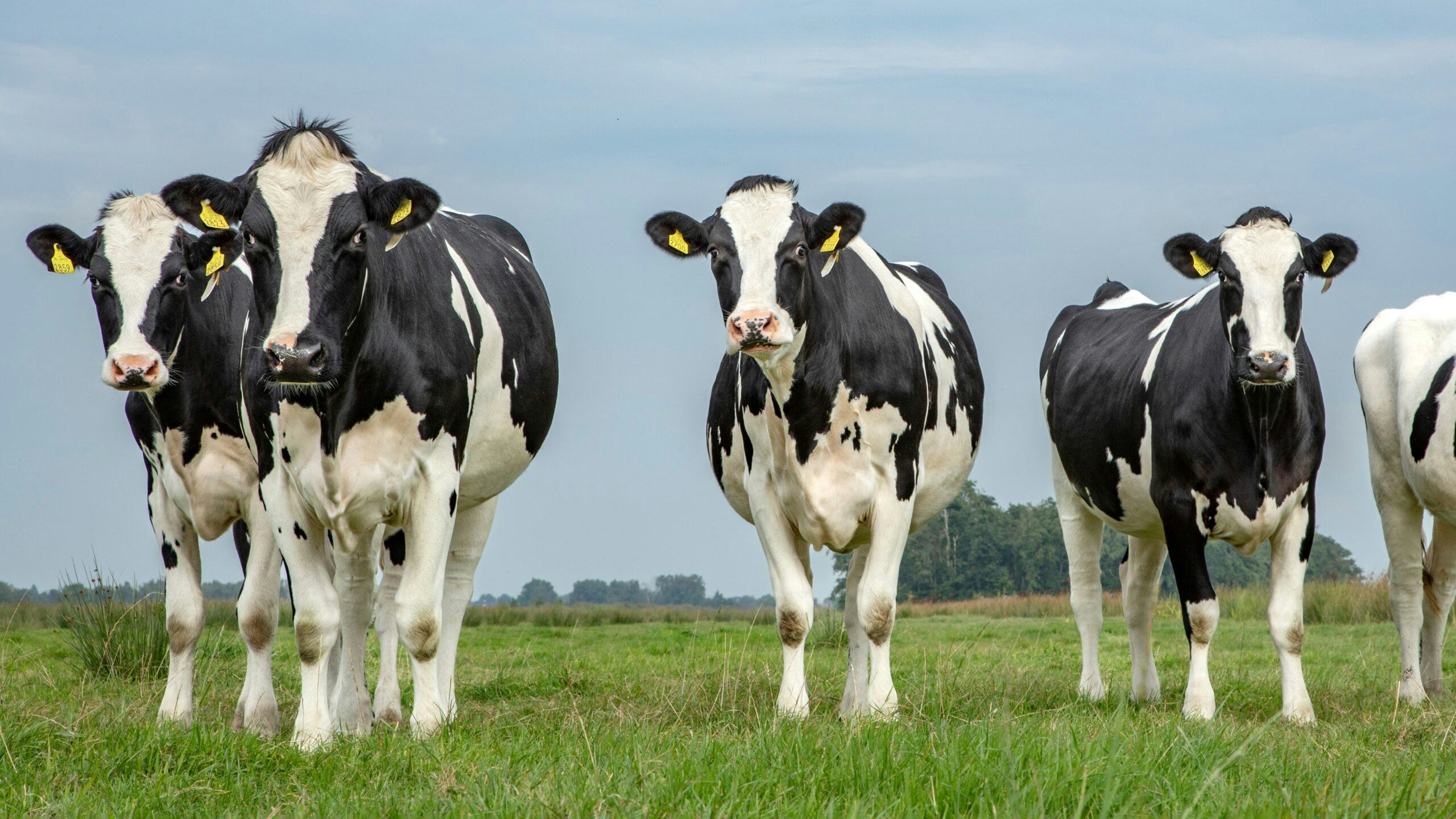 Foto: Clara Bastian / Shutterstock.com