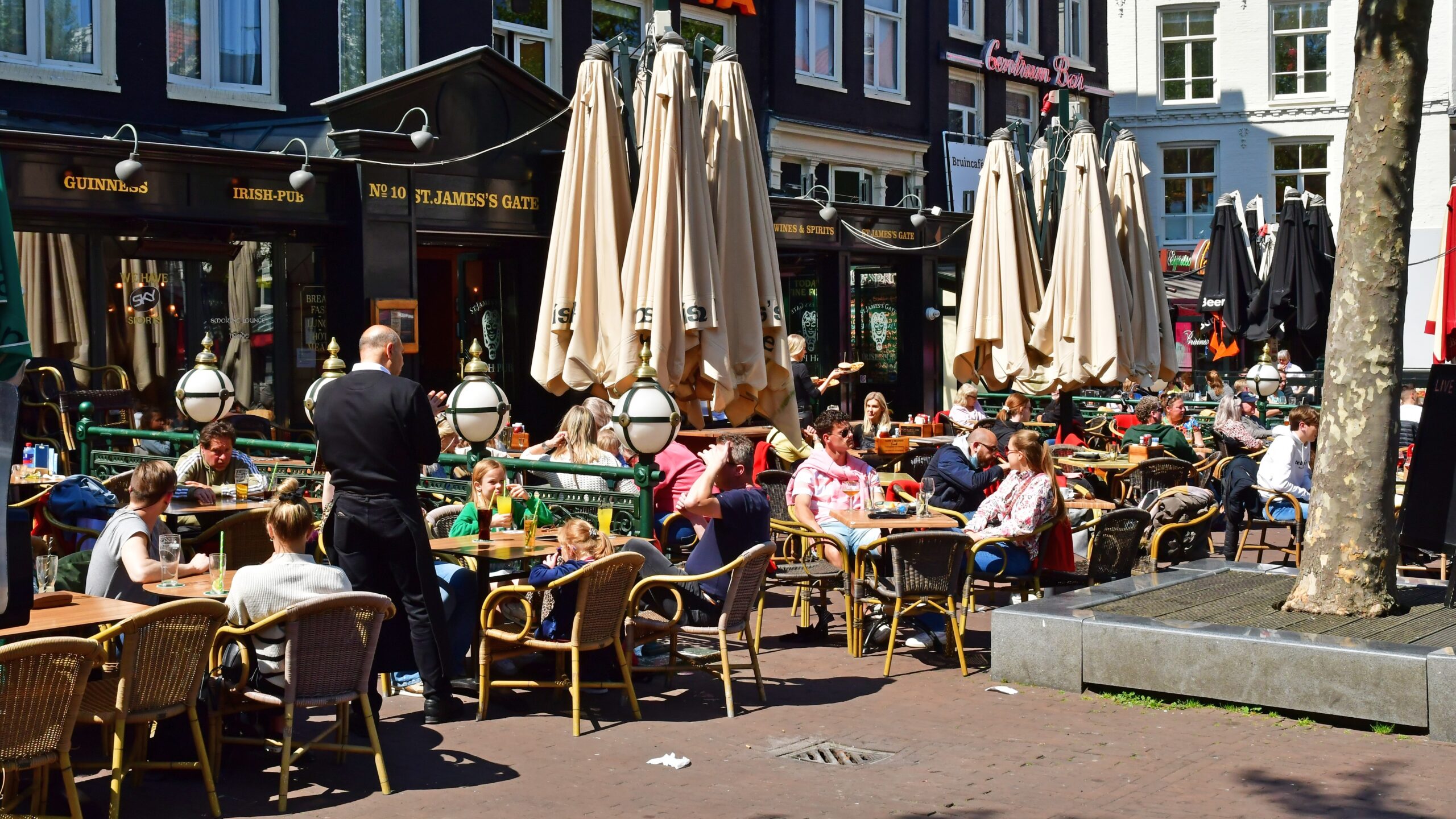 Foto: Pack-Shot / Shutterstock