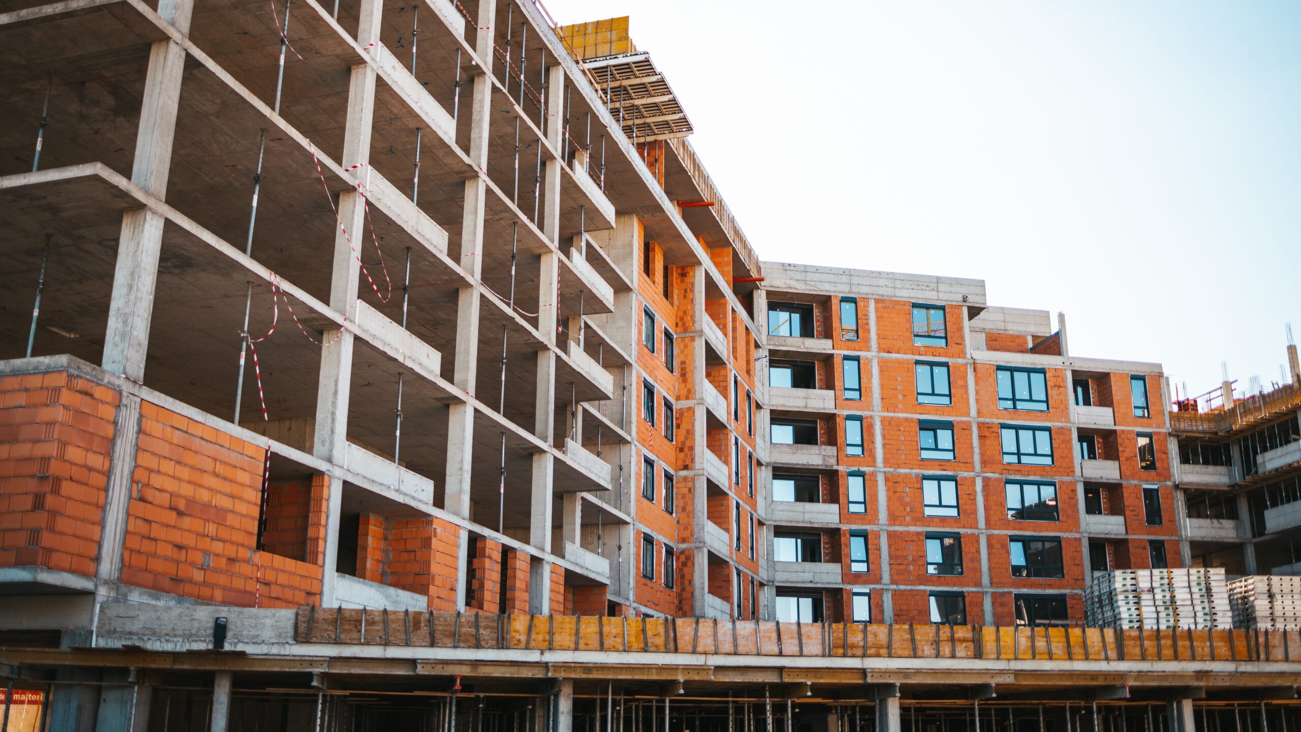 Beeld: Dragana Gordic / Shutterstock.com