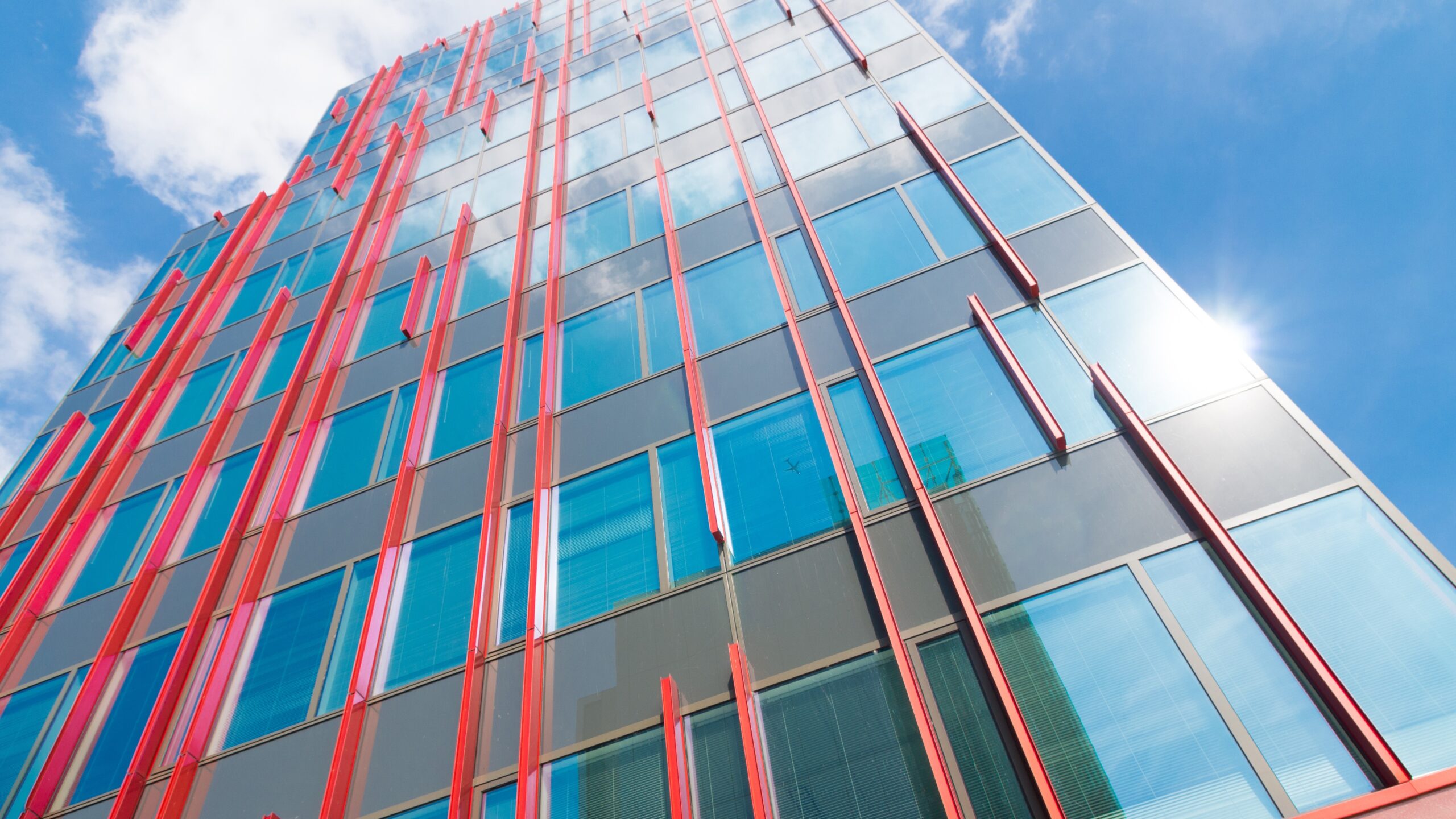 Beeld: Hans Engbers / Shutterstock