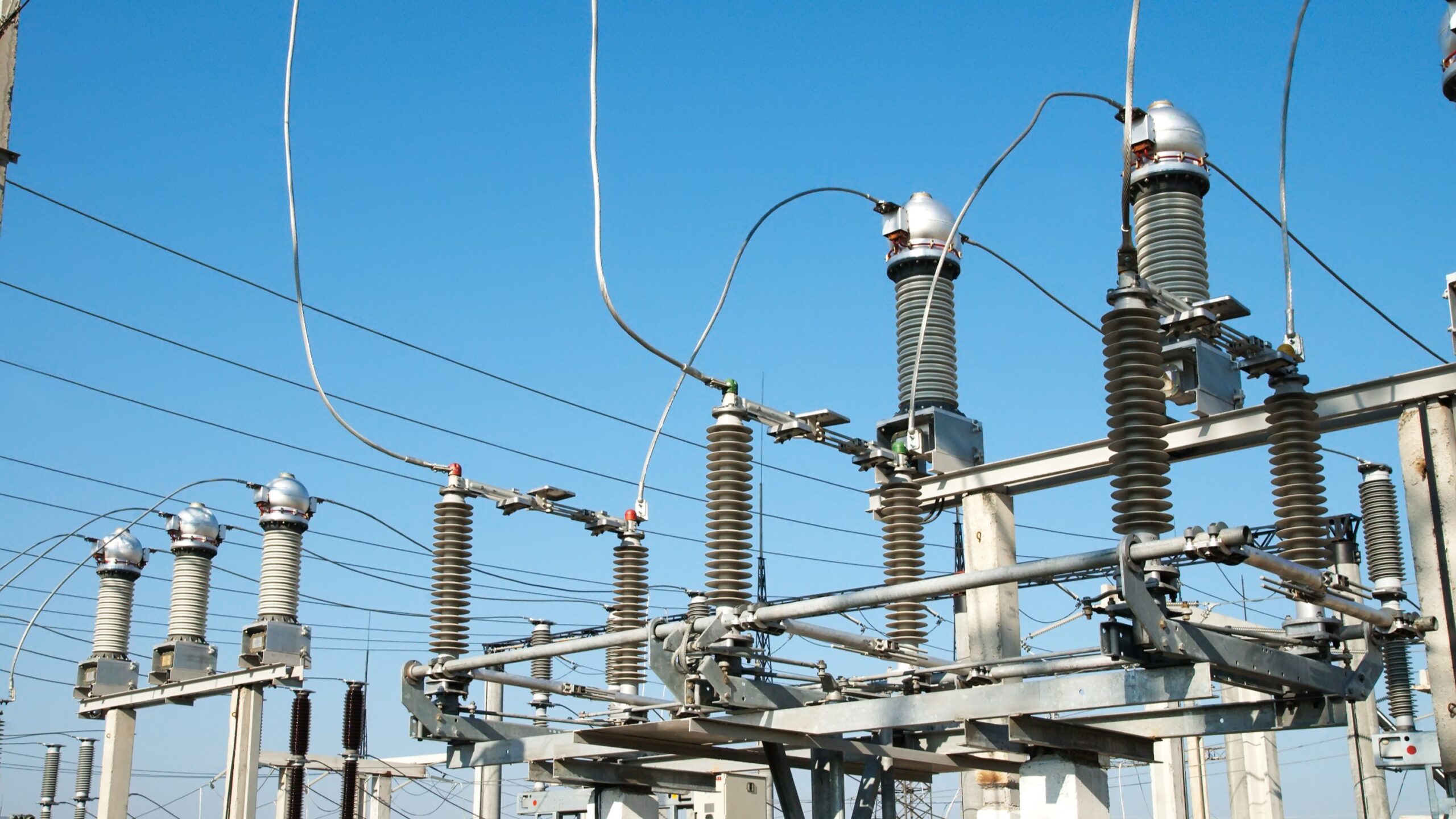 Foto: Mykola Mazuryk / Shutterstock