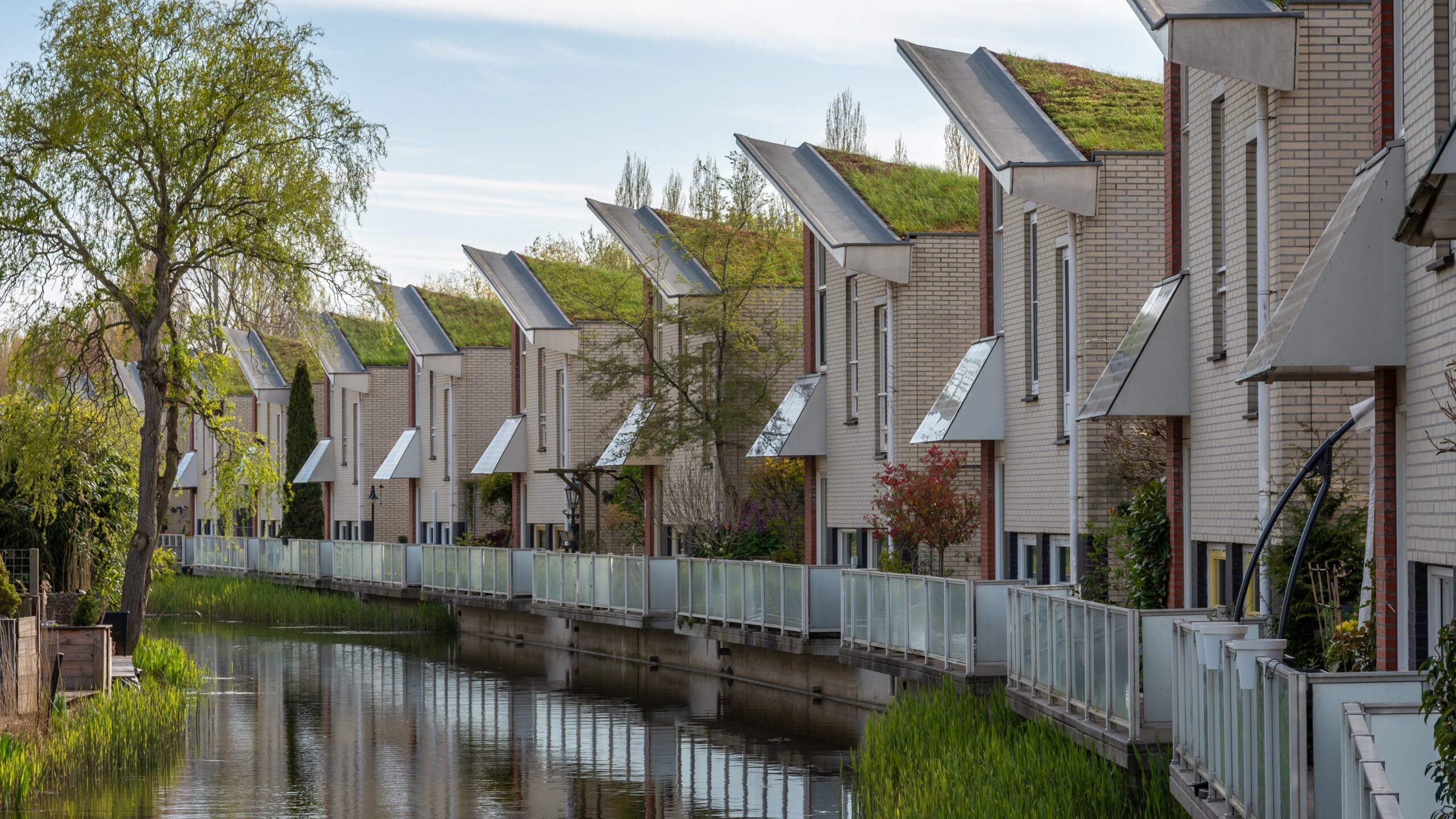 Milieuvriendelijke woningen met groene daken in de wijk Stadspolders in Dordrecht, Zuid-Holland. Foto: Milos Ruzicka / Shutterstock.com