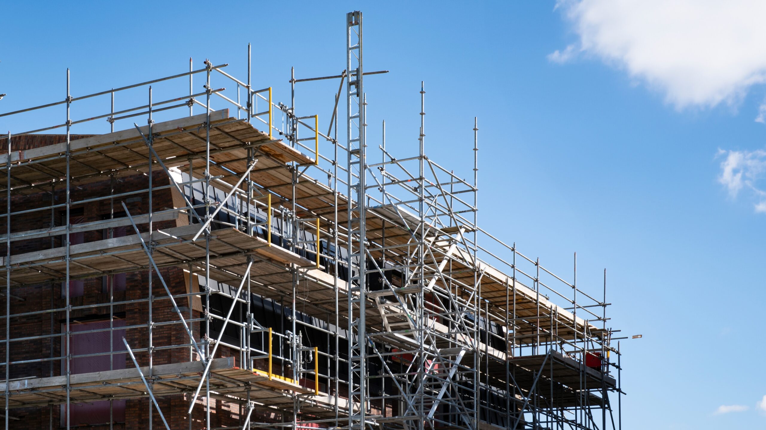 Foto: Henk Vrieselaar / Shutterstock.com