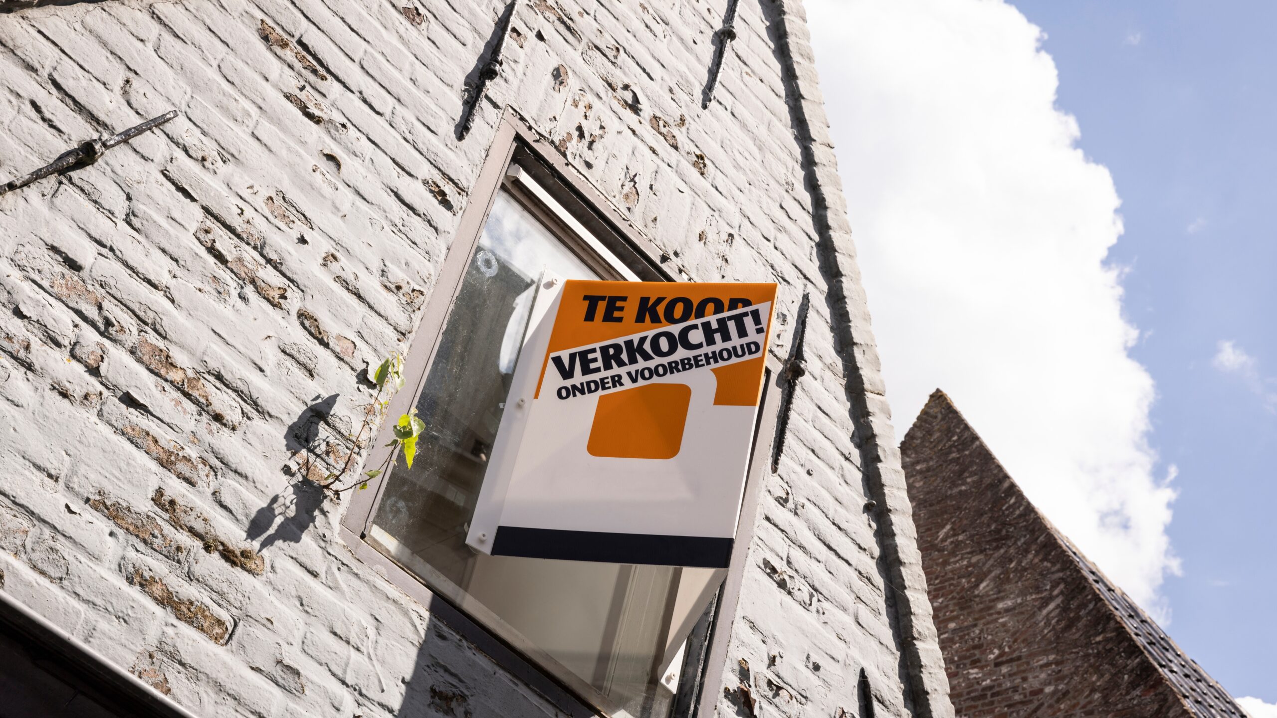 Foto: Lea Rae / Shutterstock.com