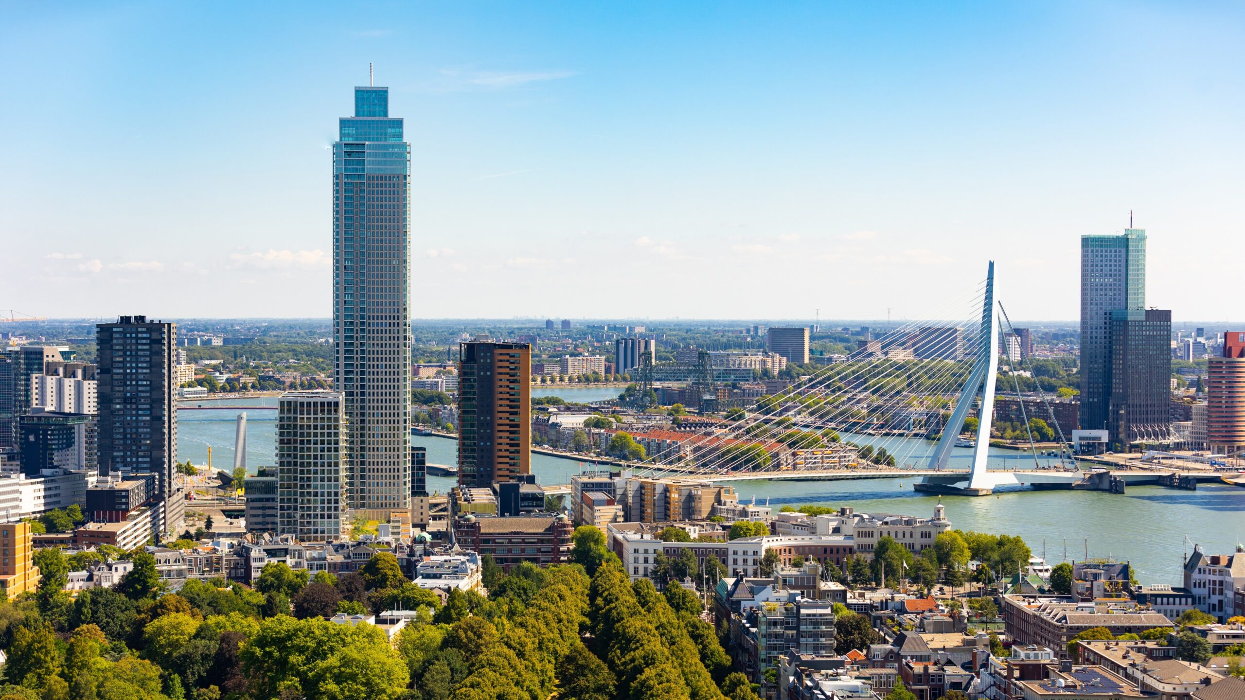 Beeld: BearFotos/Shutterstock