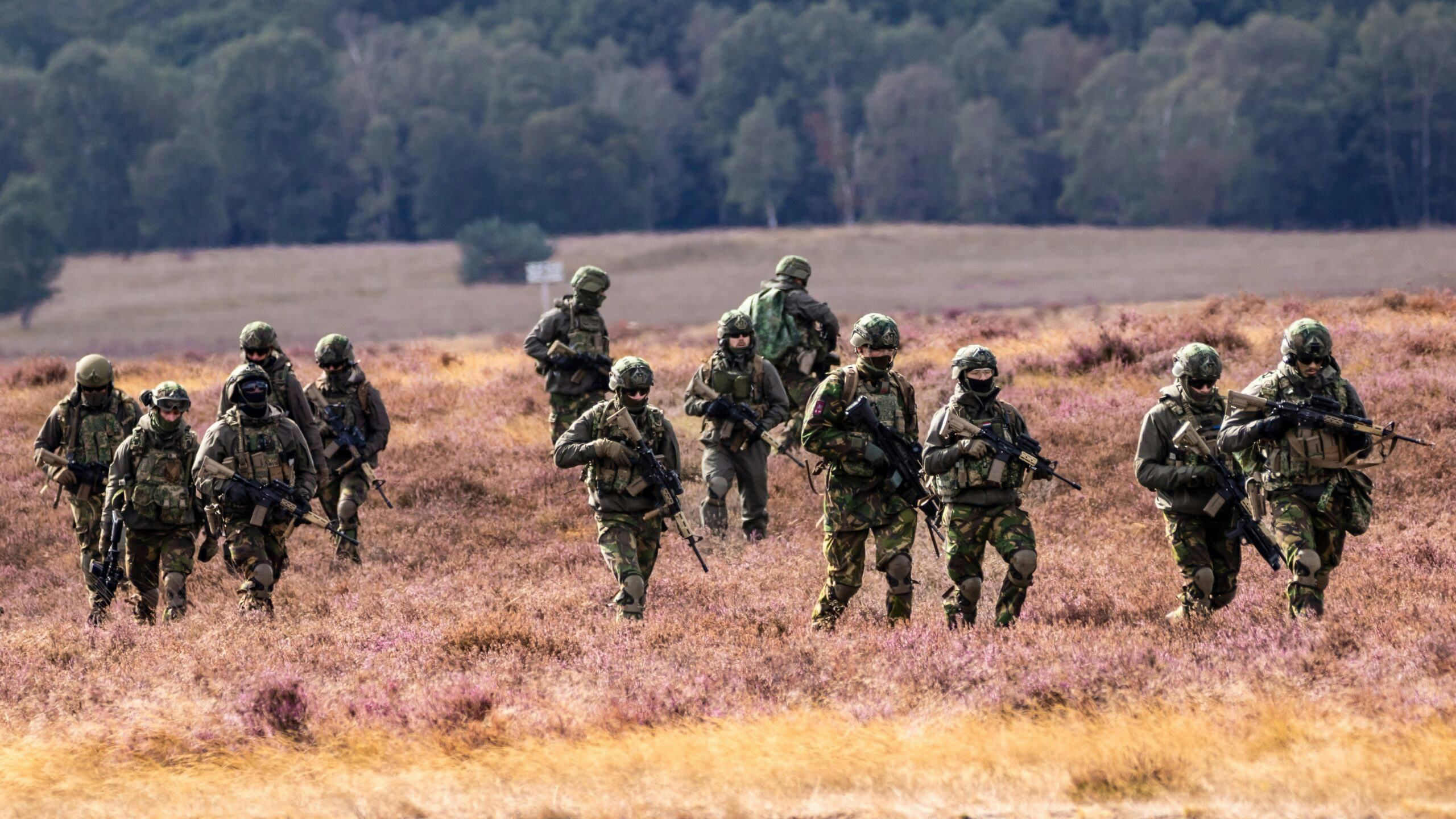 Foto: VanderWolf Images / Shutterstock