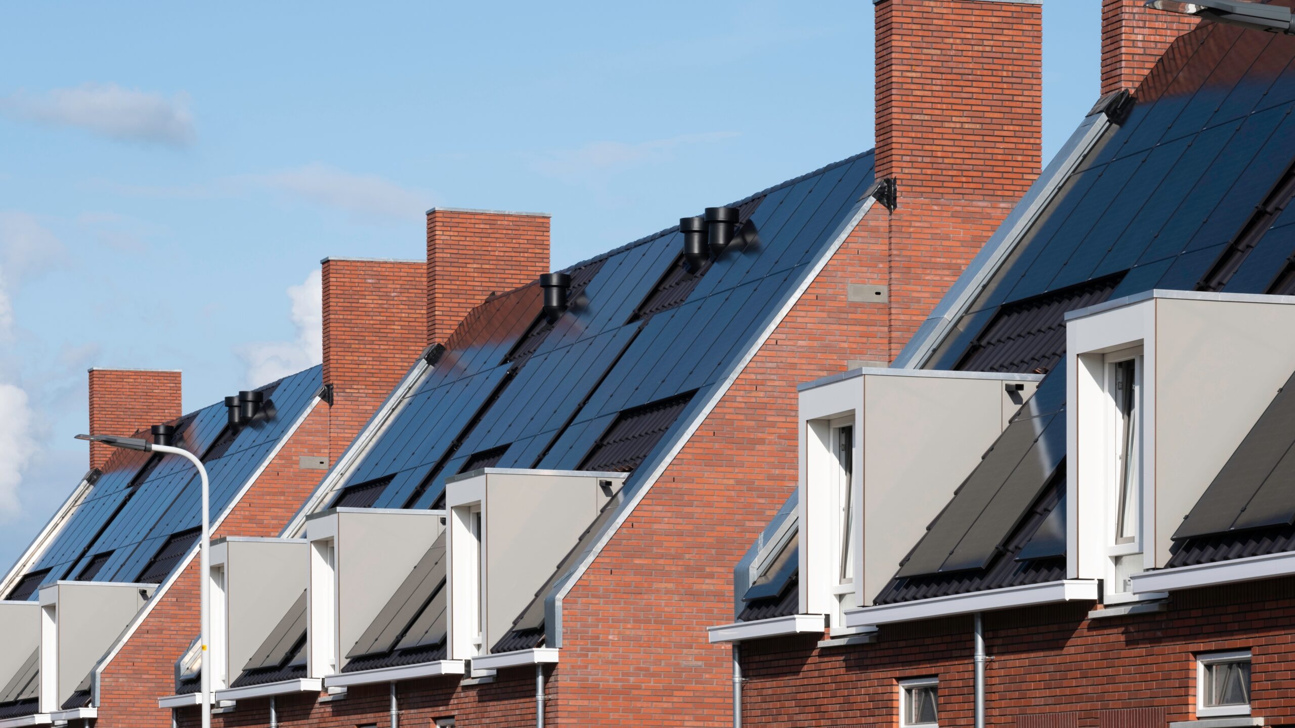 Foto: Henk Vrieselaar / Shutterstock.com