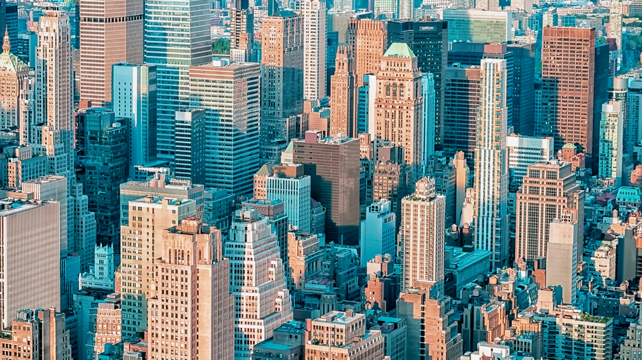 Foto: Stockbym / Shutterstock.com