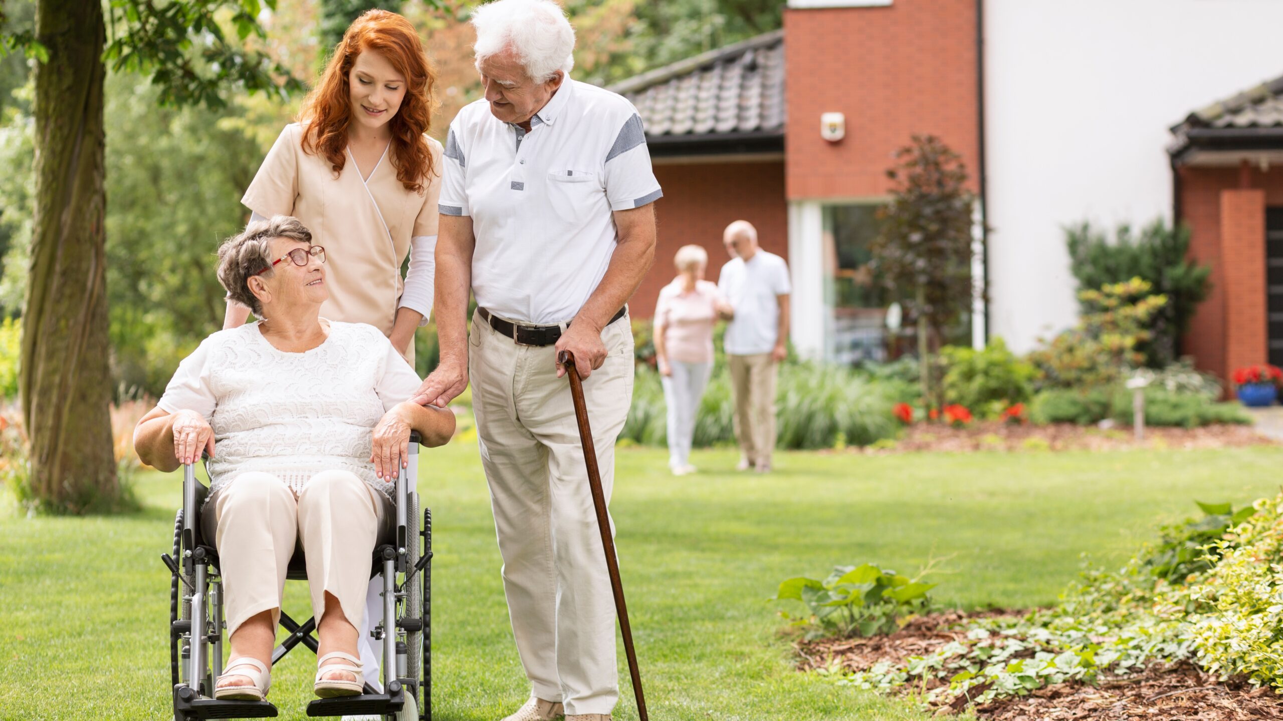 Foto: Ground Picture / Shutterstock.com