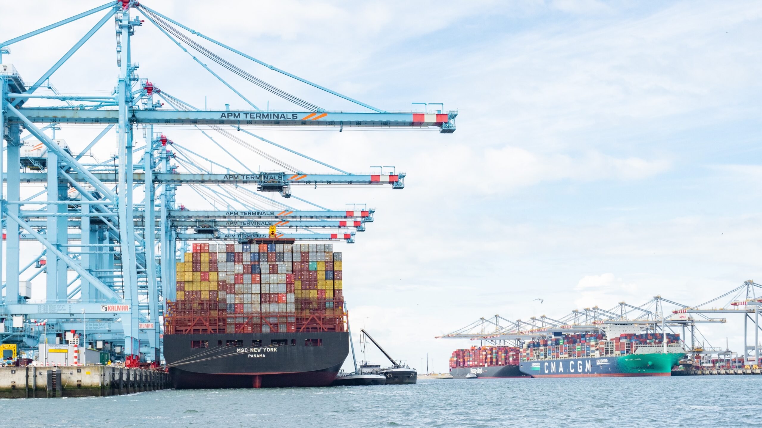 Beeld: Thomas Stoiber/Shutterstock