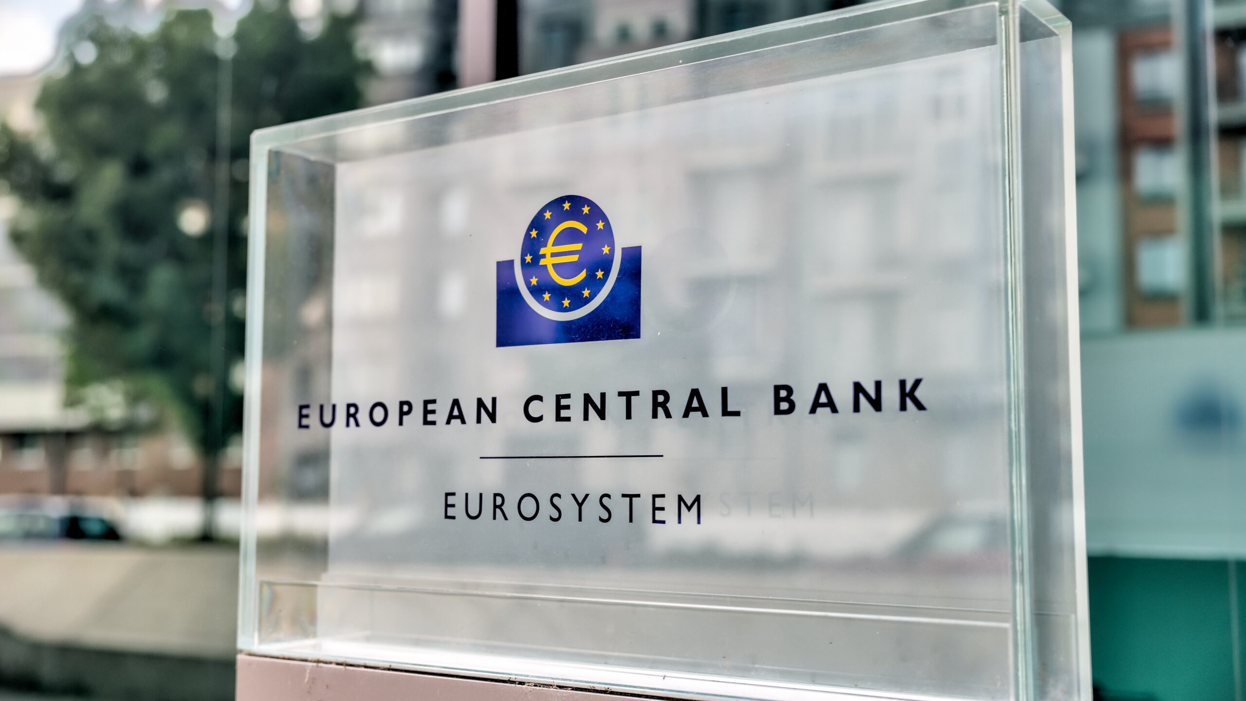 Foto: Todamo / Shutterstock.com