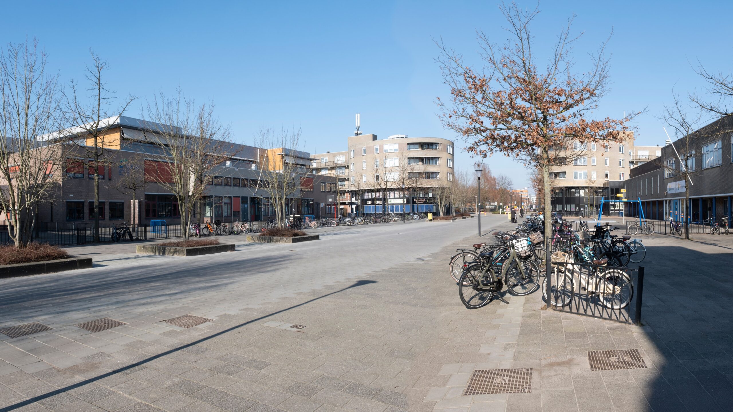 Foto: Henk Vrieselaar / Shutterstock.com