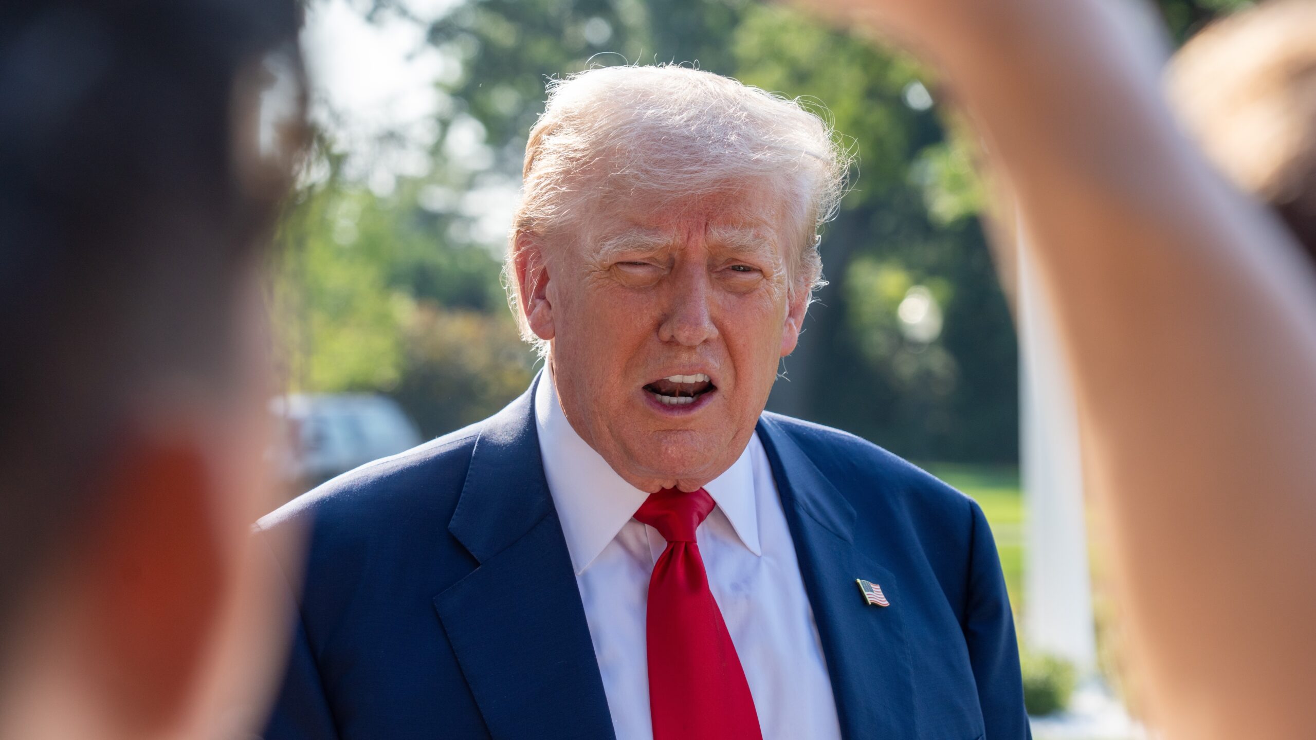 Foto: Joey Sussman / Shutterstock.com