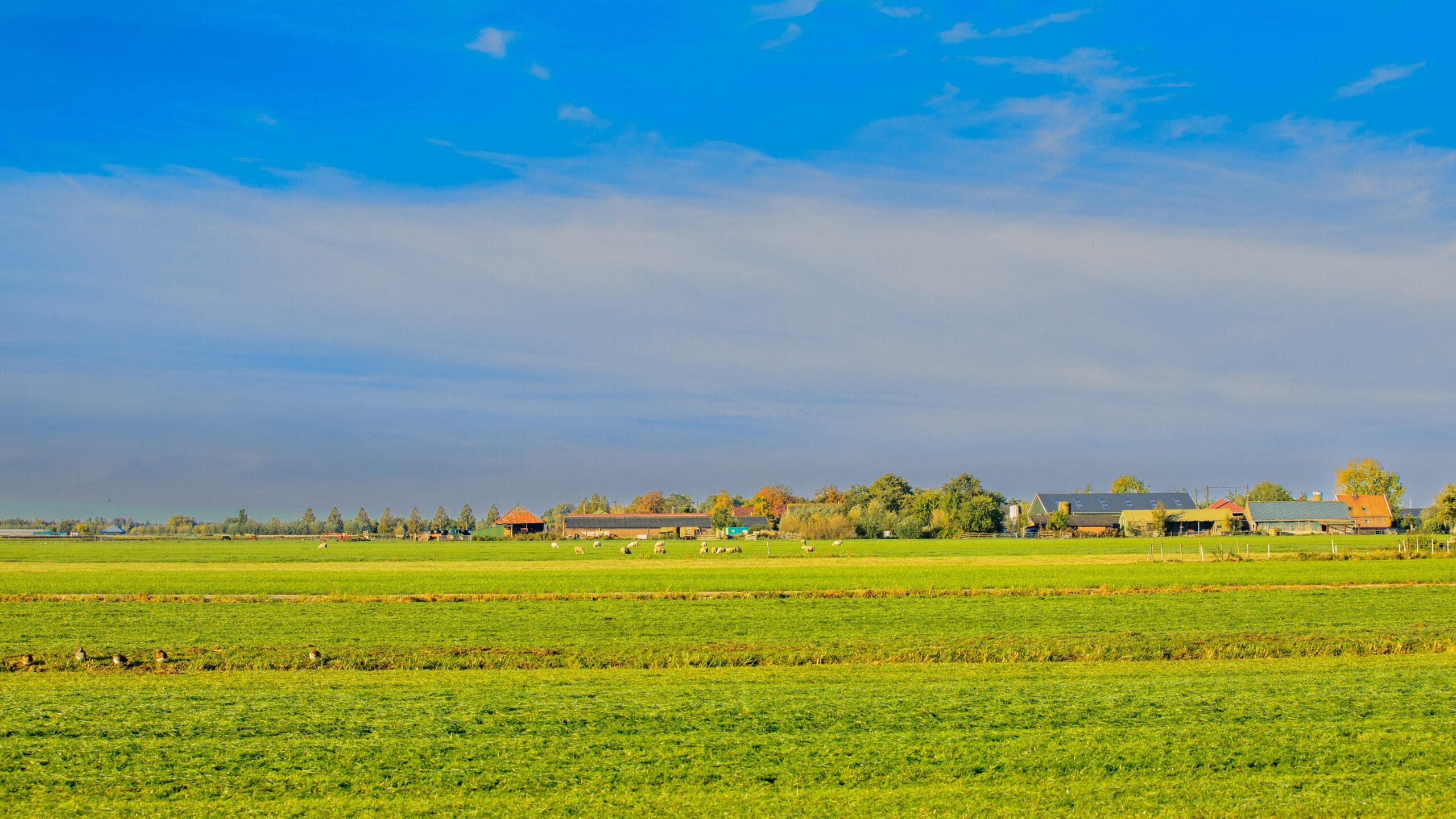 Foto: Photodigitaal.nl / Shutterstock.com