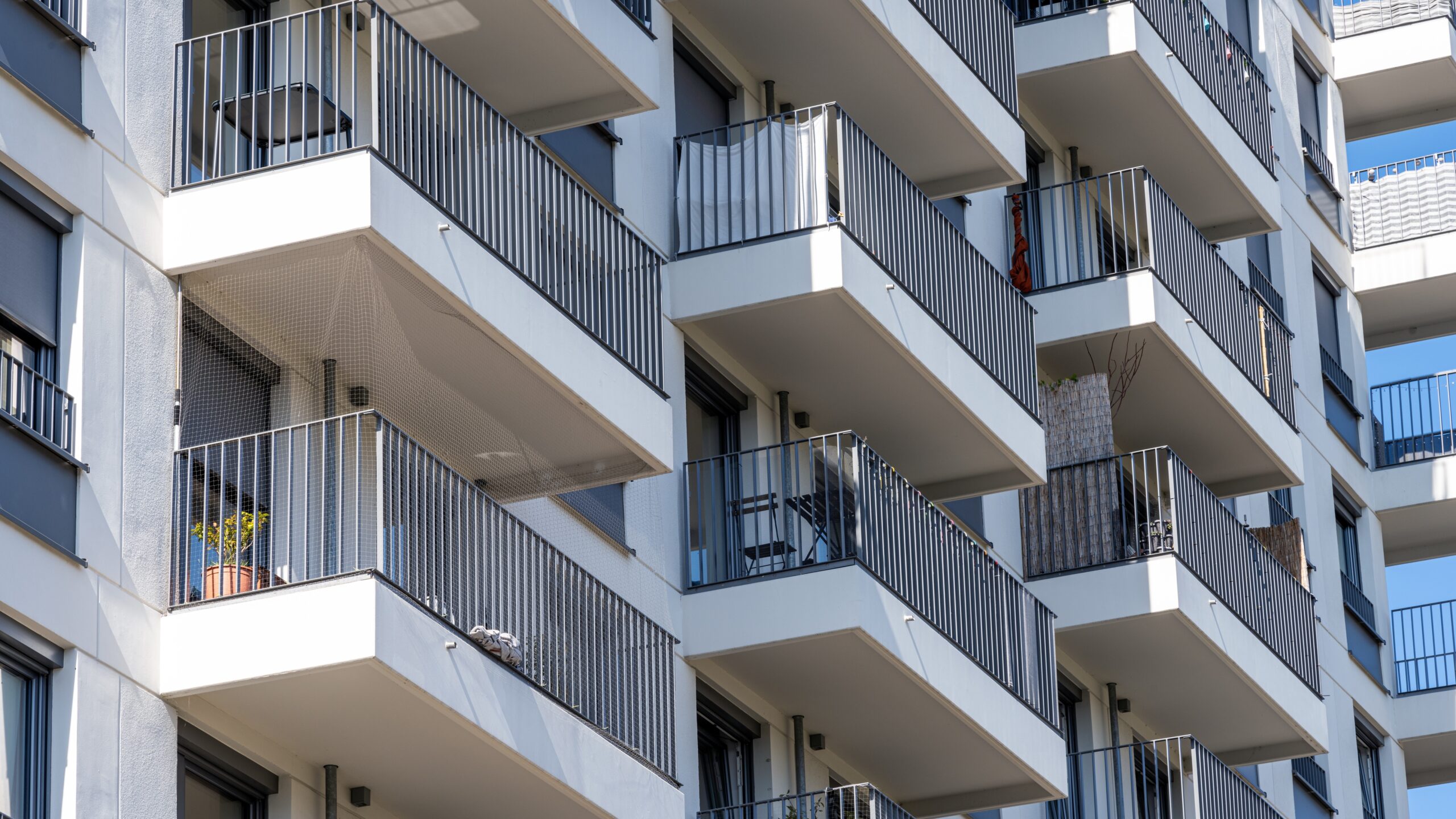 Foto: Elxeneize / Shutterstock