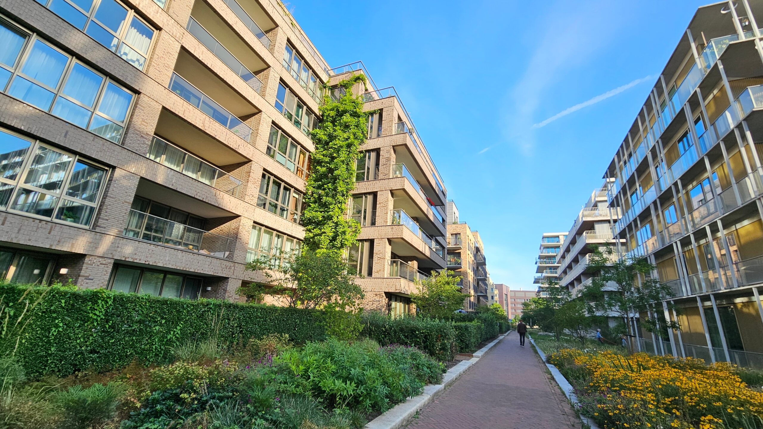 Foto: xlaura / Shutterstock.com