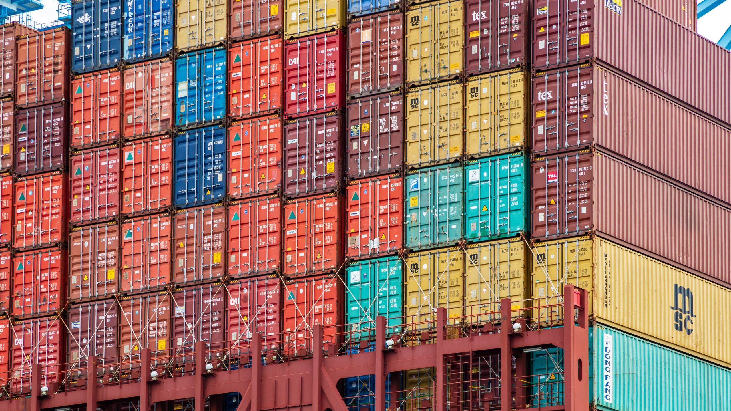 Foto: VanderWolf Images / Shutterstock.com