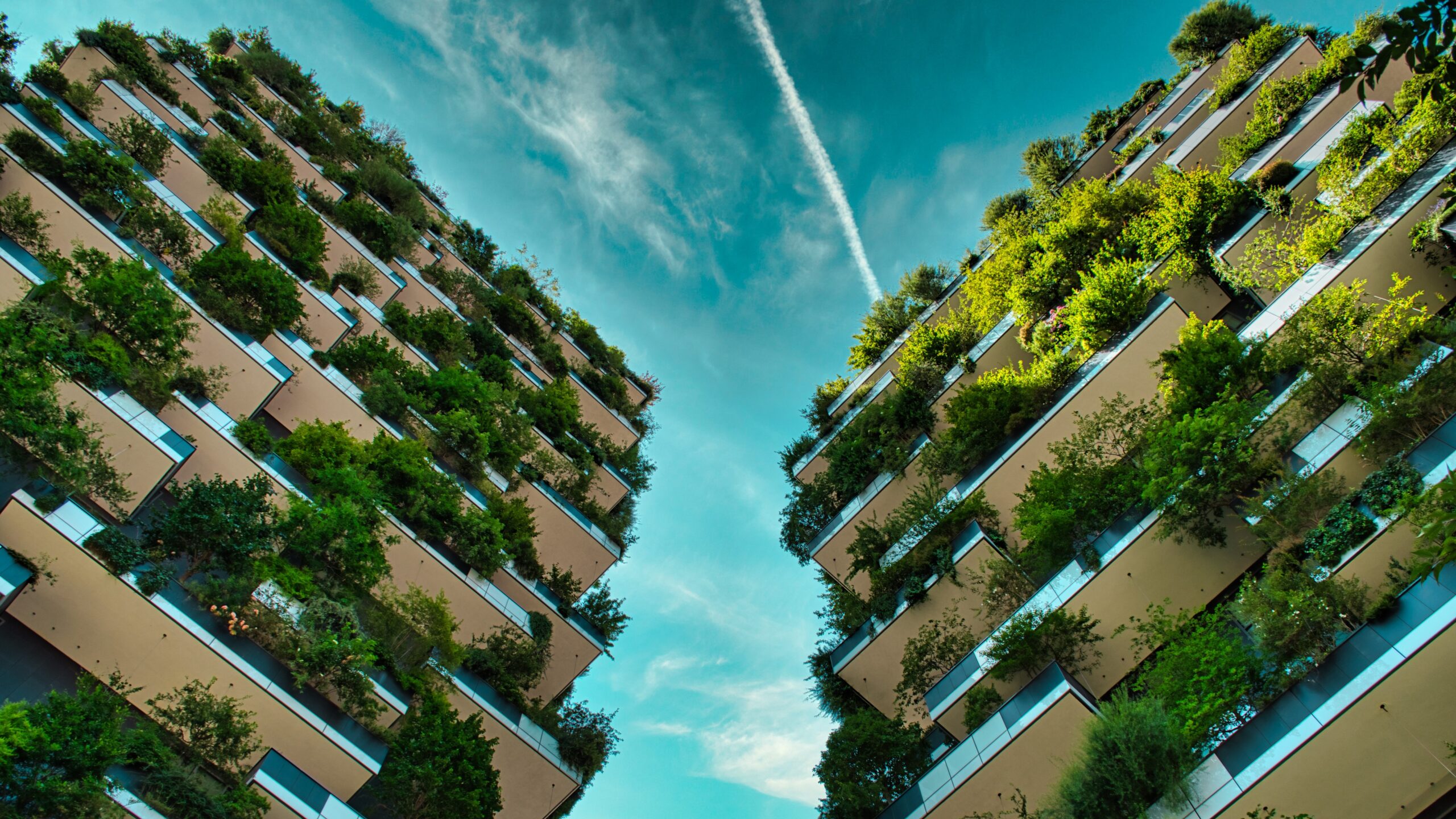 Foto: BalaszSebok/Shutterstock.com