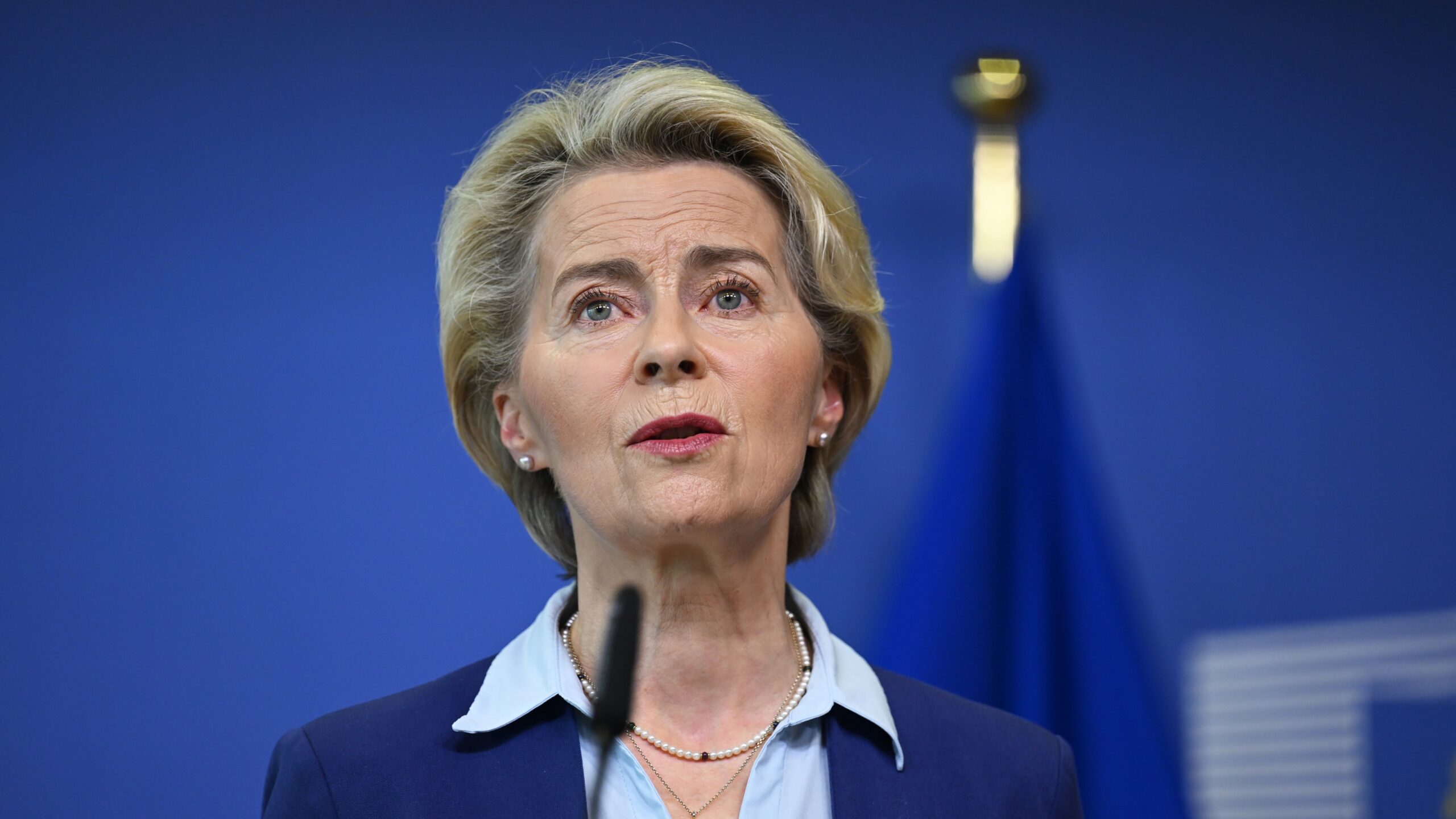 Beeld: miss.cabul / Shutterstock