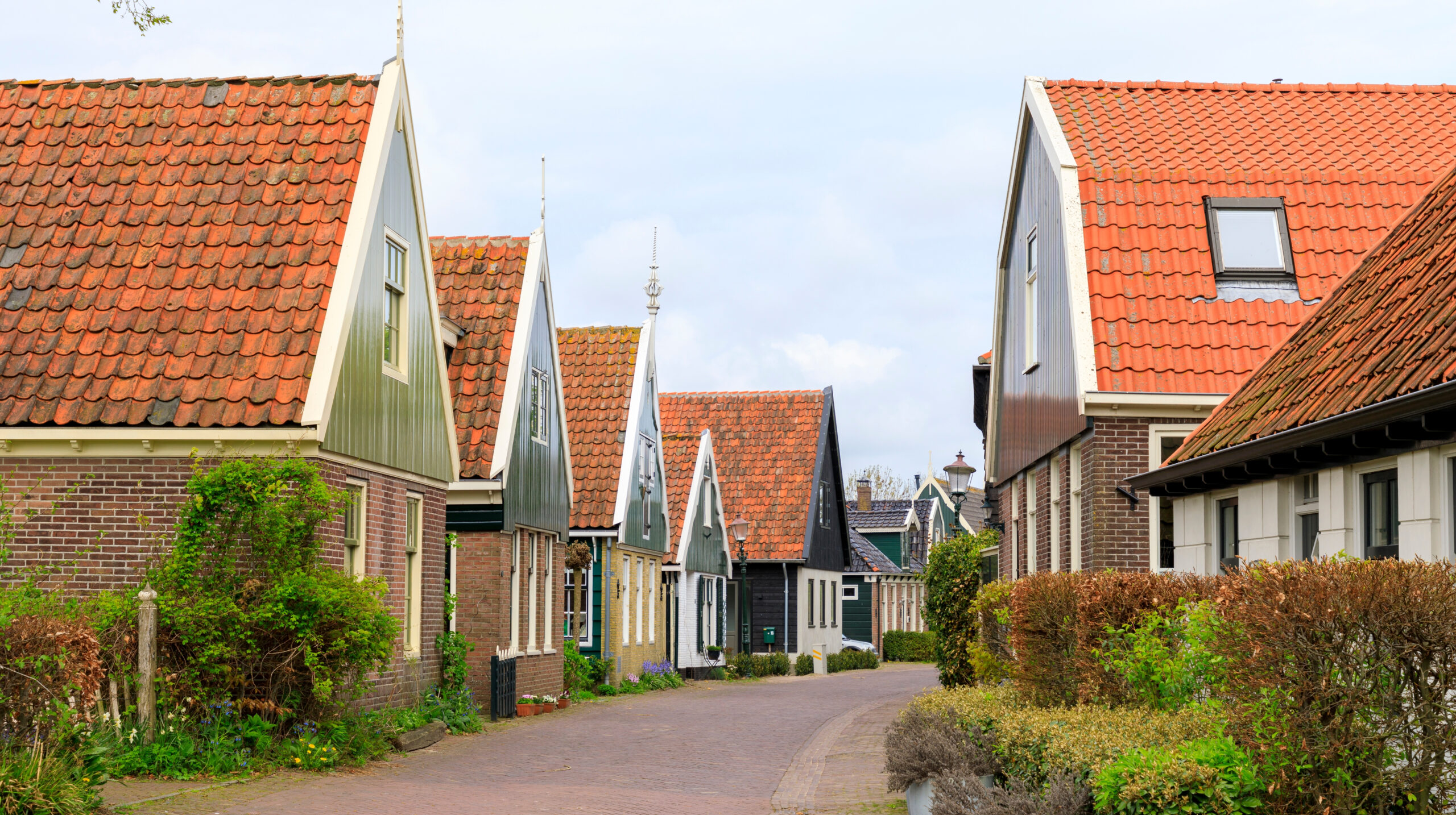 Foto: Emily Marie Wilson / Shutterstock.