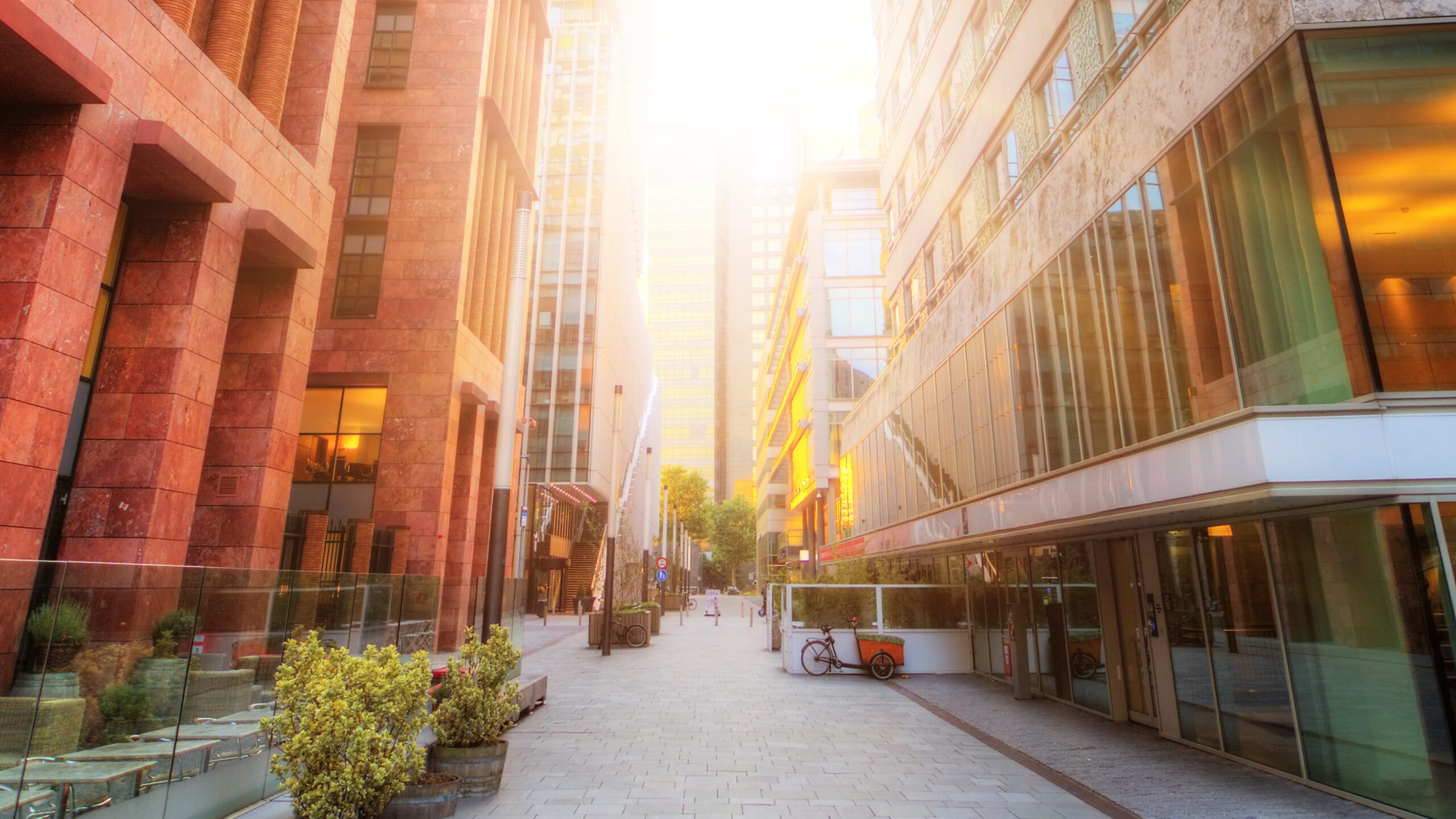 Foto: Dennis van de Water / Shutterstock.com