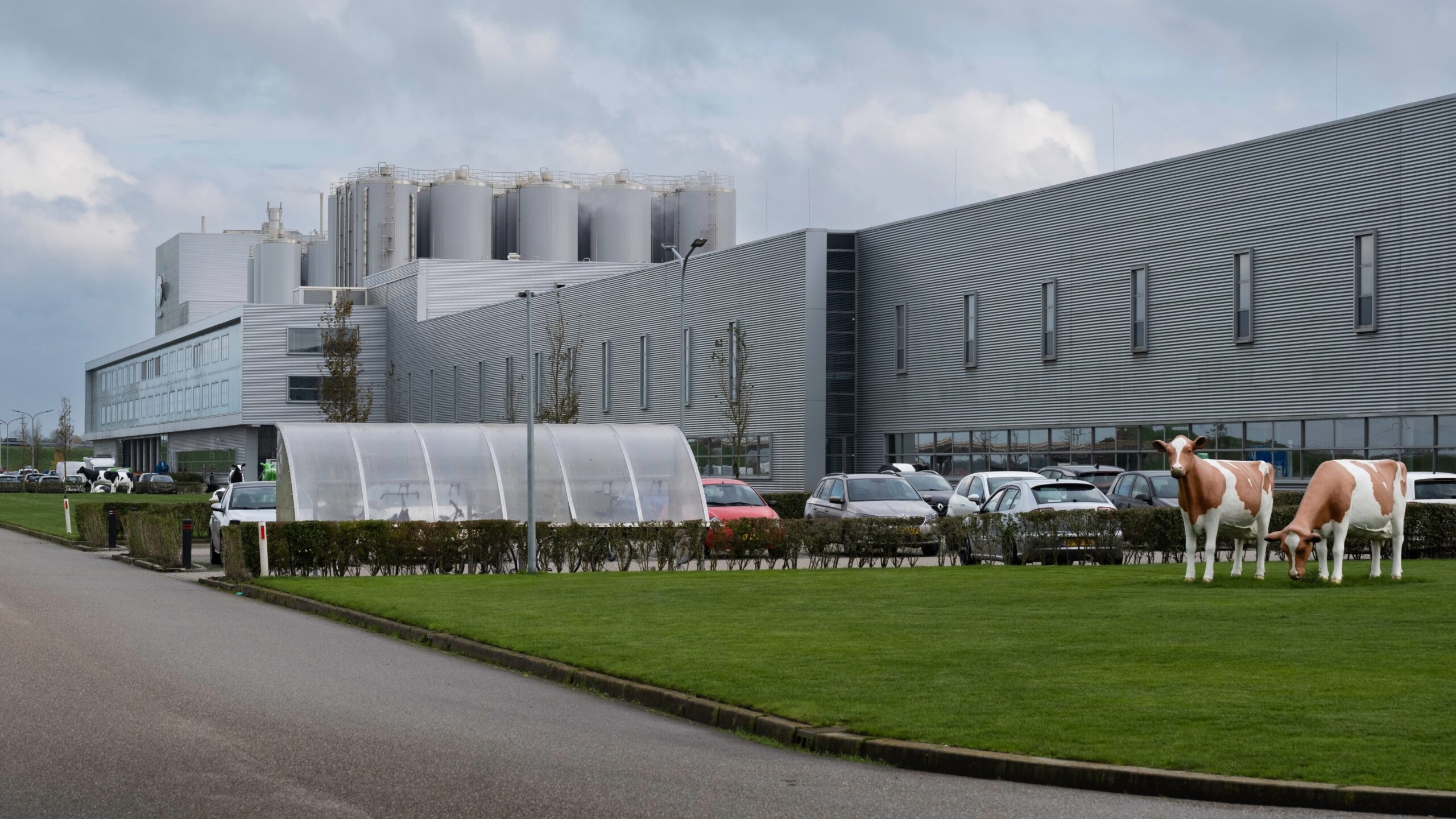 Foto: Shutterstock / Henk Vrieselaar