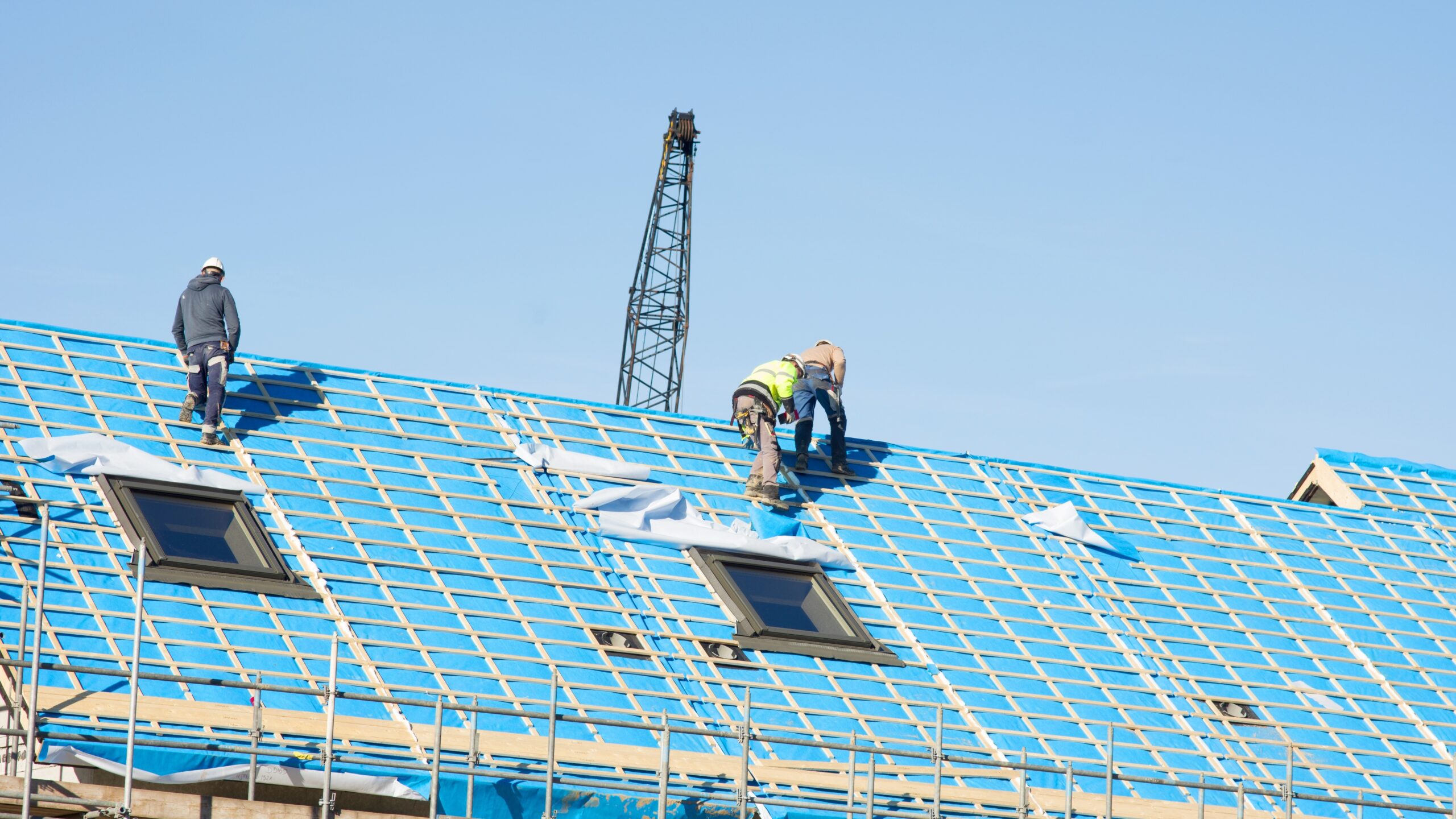 Marcel Rommens/Shutterstock