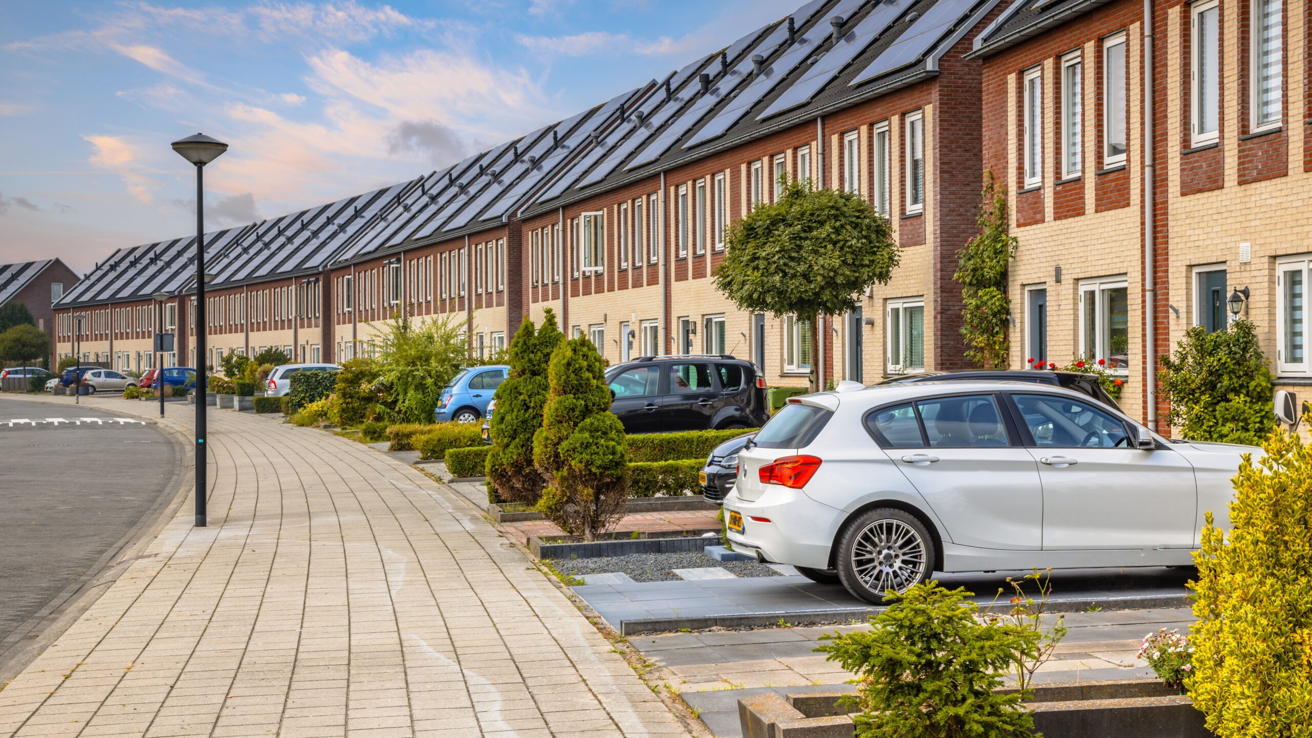 Rudmer Zwerver/Shutterstock