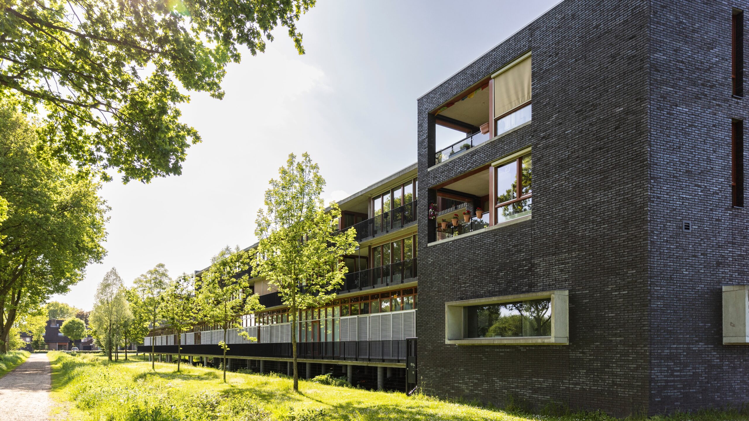 Foto: Shutterstock / Lea Rae