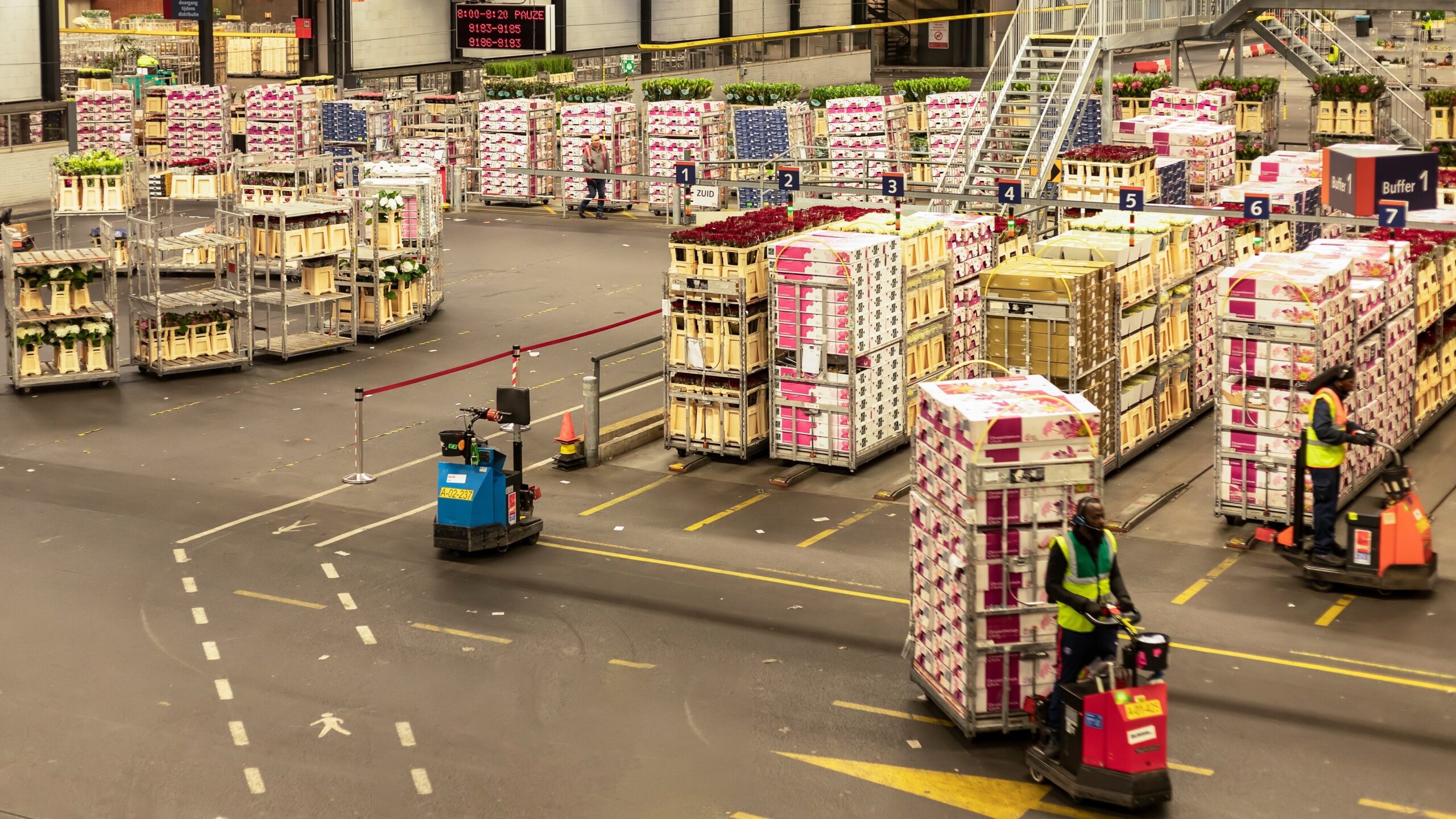 Foto: Wolf-photography / Shutterstock.com